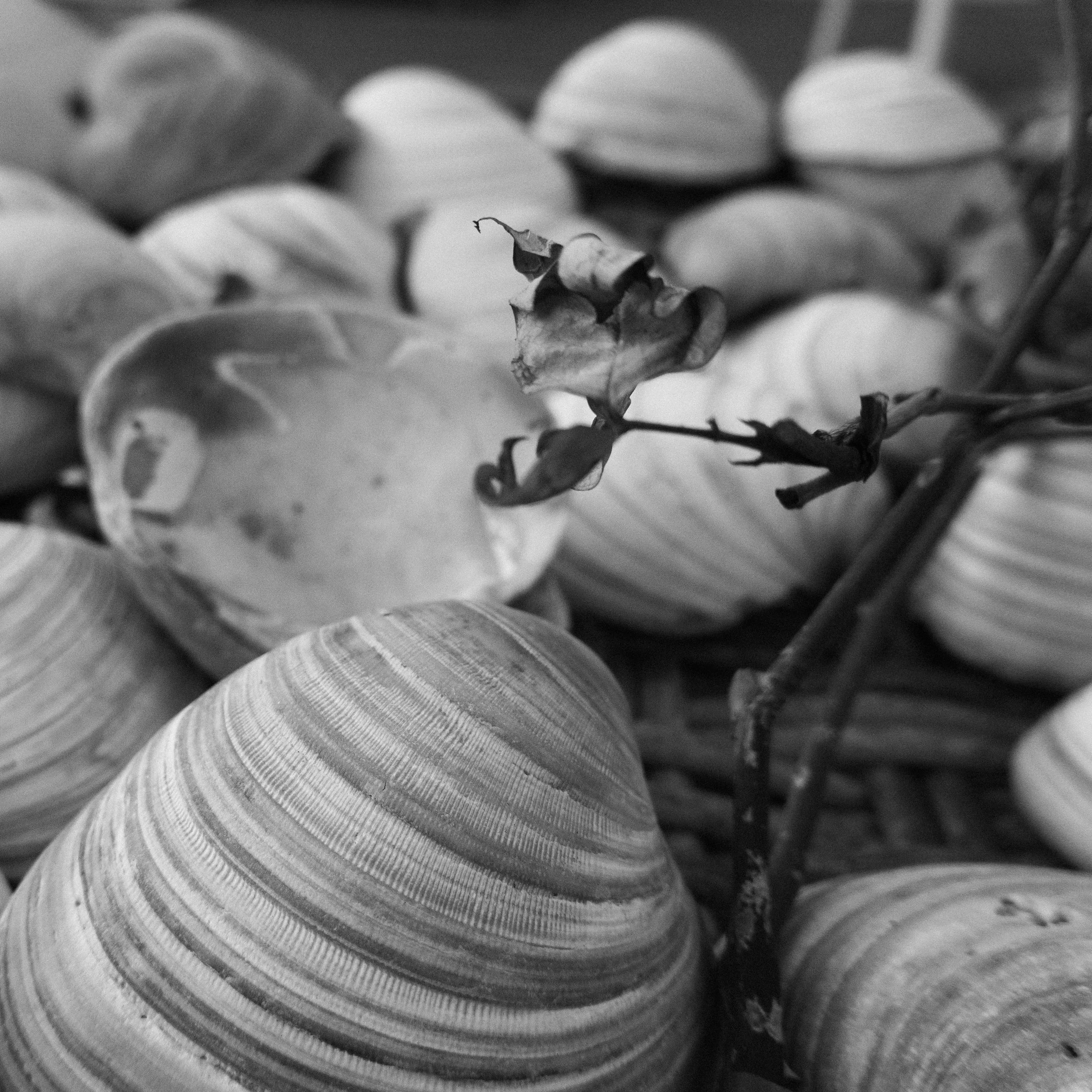 Skating the River w/ Images 