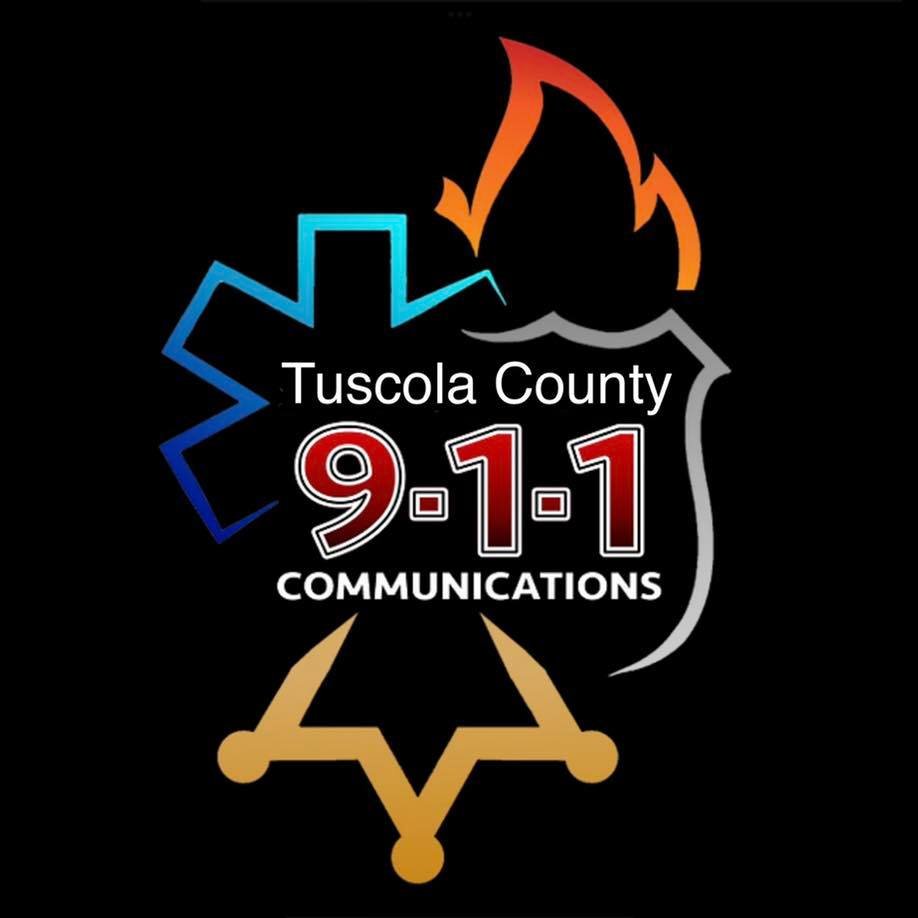 Tuscola Central Logo.jpg