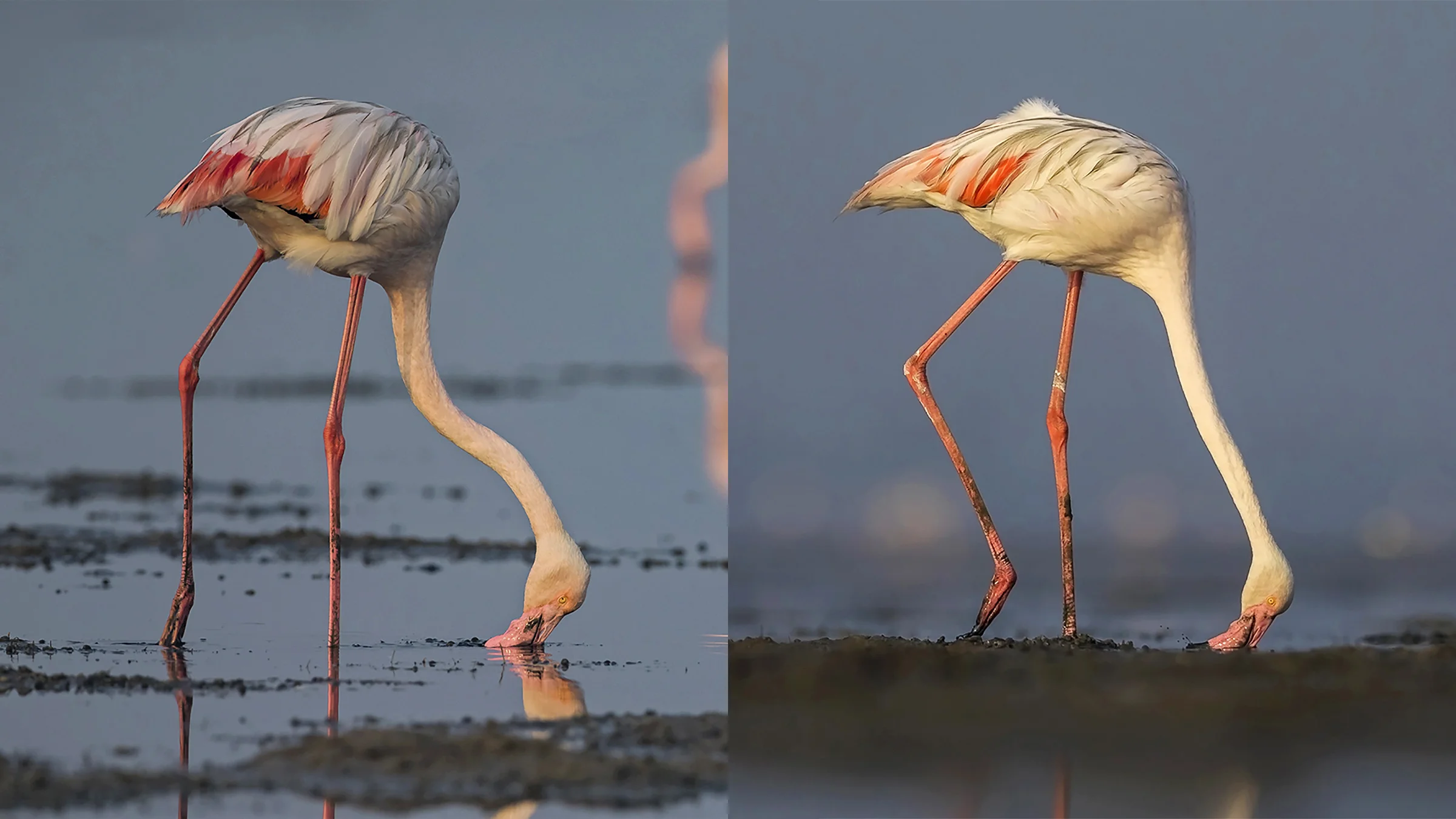 Both the above shots were taken from the boat where I was sitting, from the same angle and same settings.
