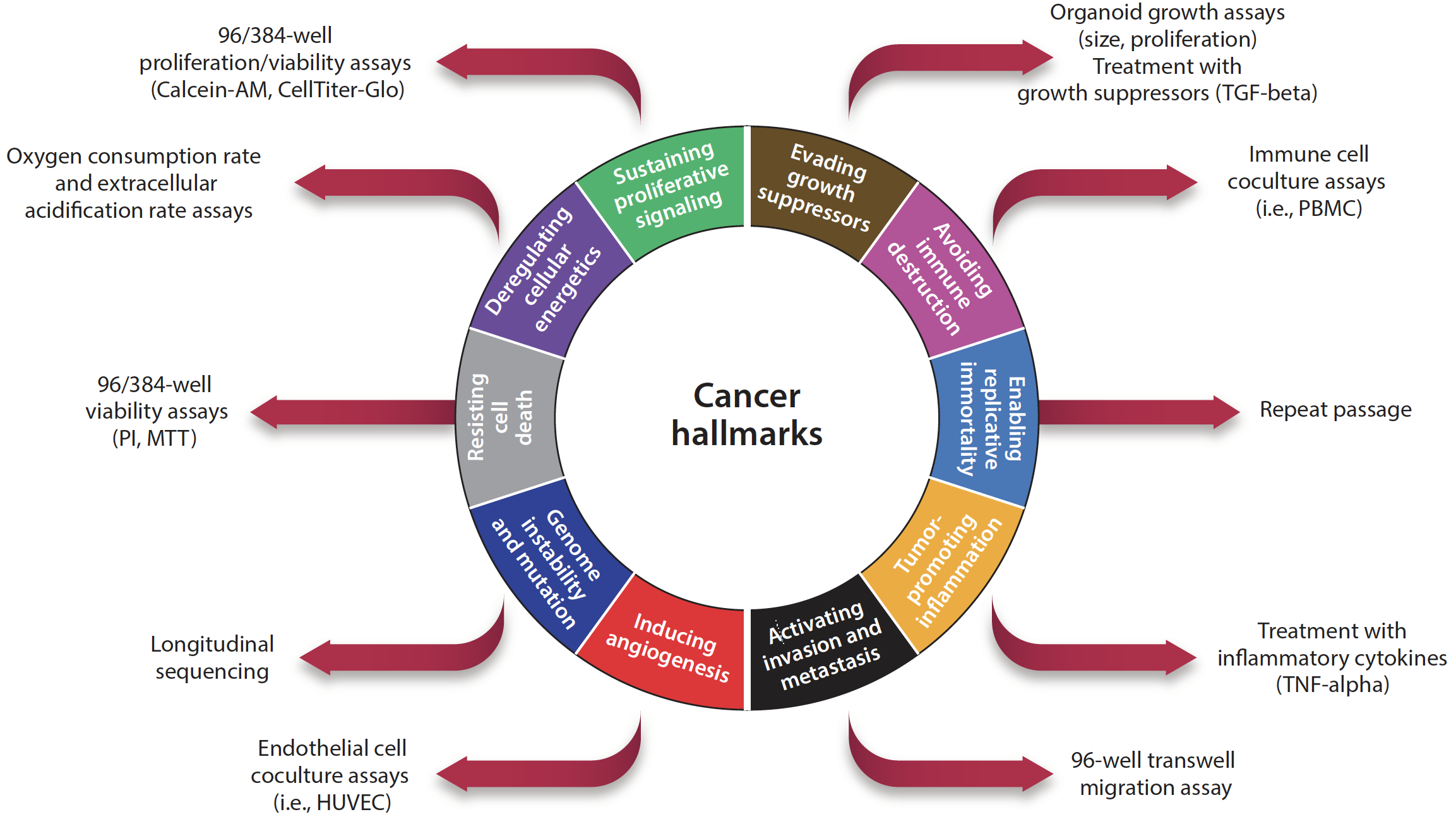 Organoids as models of neoplastic transformation