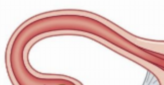 f tube.png