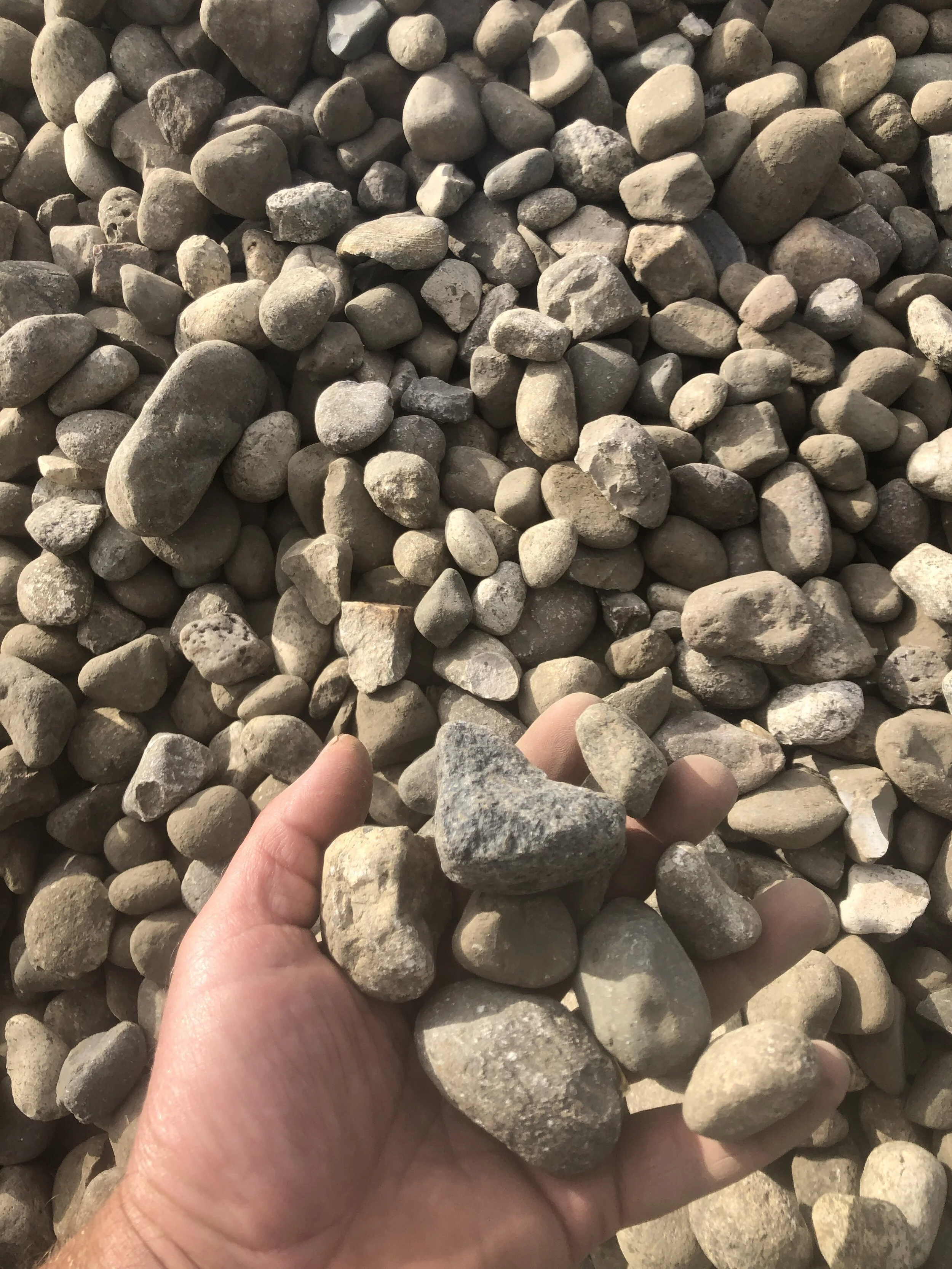 Rocks in hand.JPG