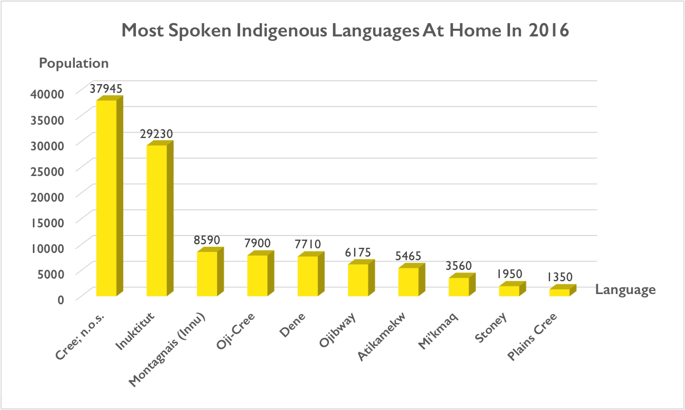 home+indigenous - NEW.png
