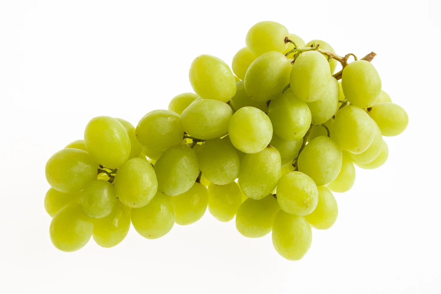 high resolution photograph for side of lorry.jpg