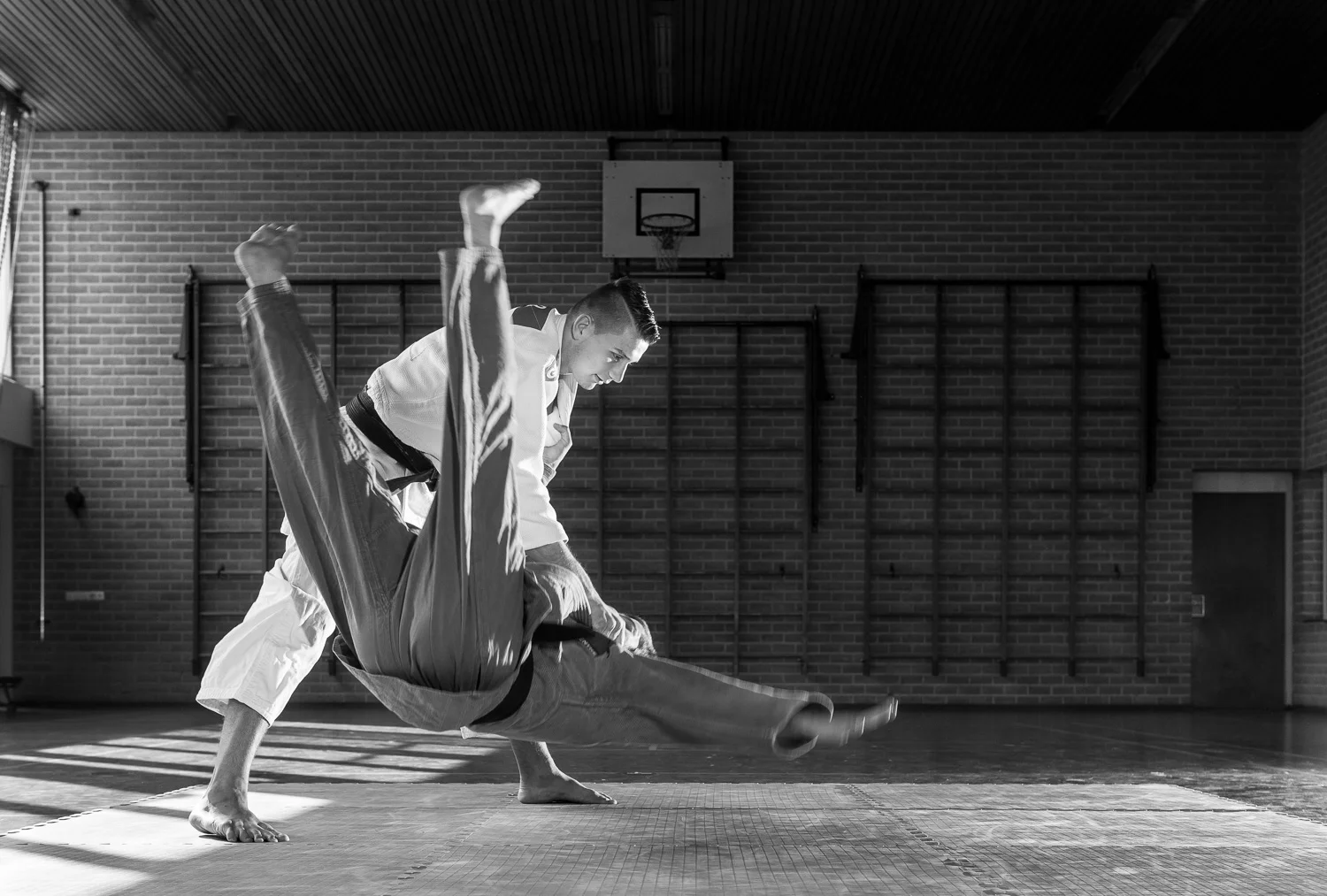 portrait judo.jpg