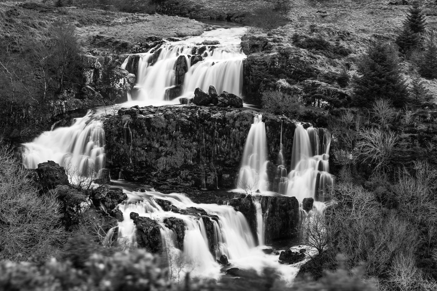 Loup of Fintry