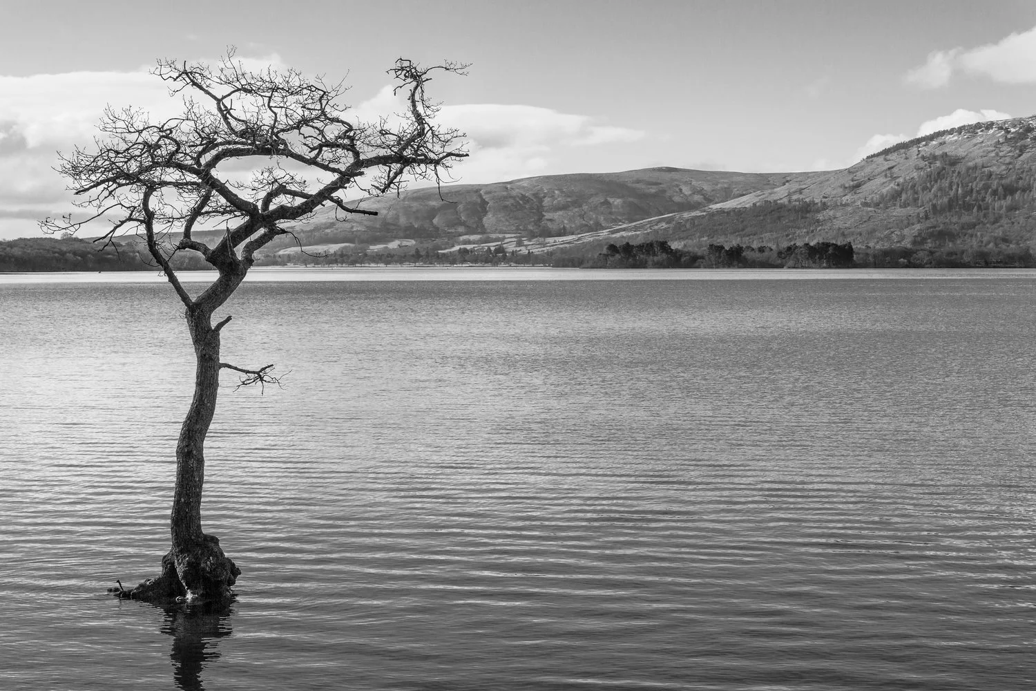 Milarrochy+Bay.jpg