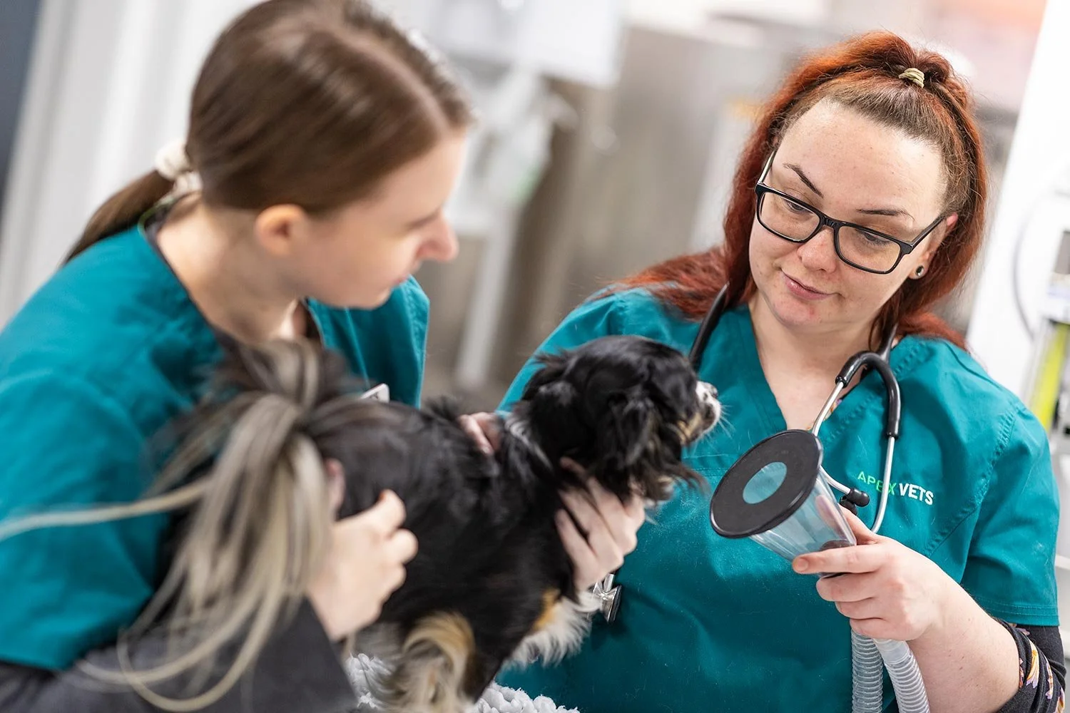 Commercial photography for Apex Vets in Denny Falkirk
