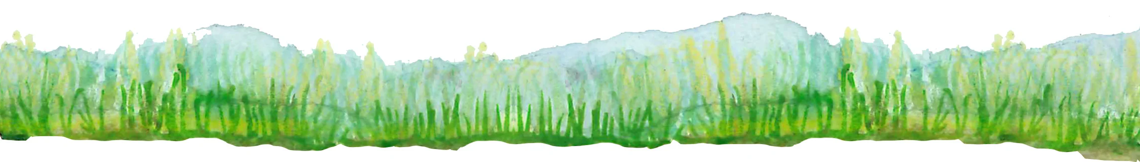 grass.jpg