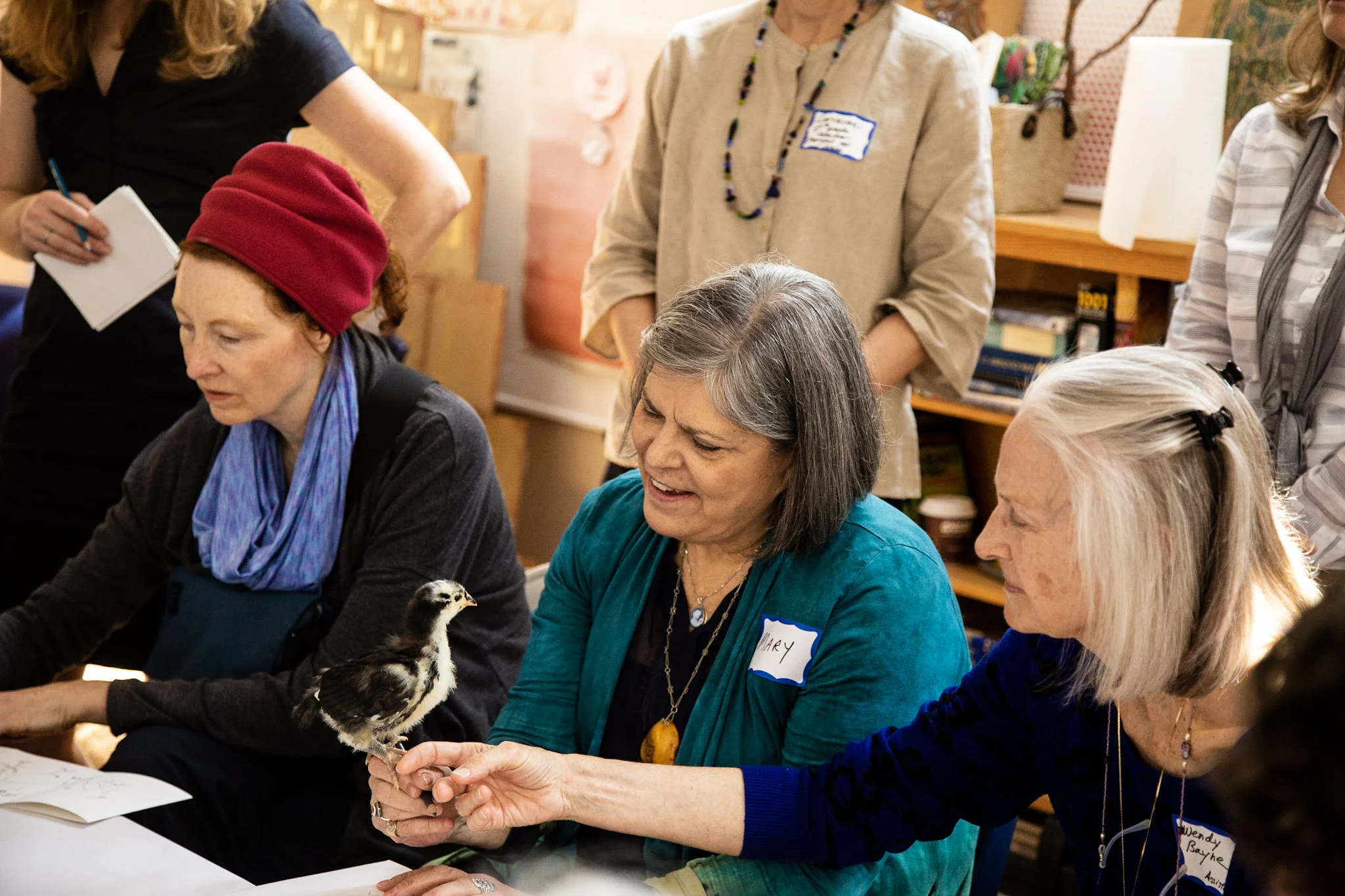 Chick observation and handling led to journaling and examples of topics children have explored with excitement after a hands-on experiences.