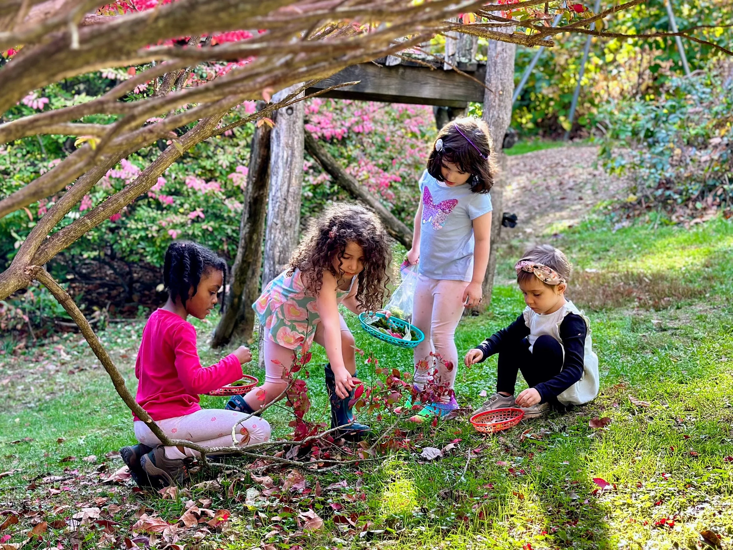 Information Session &amp; Campus Tour