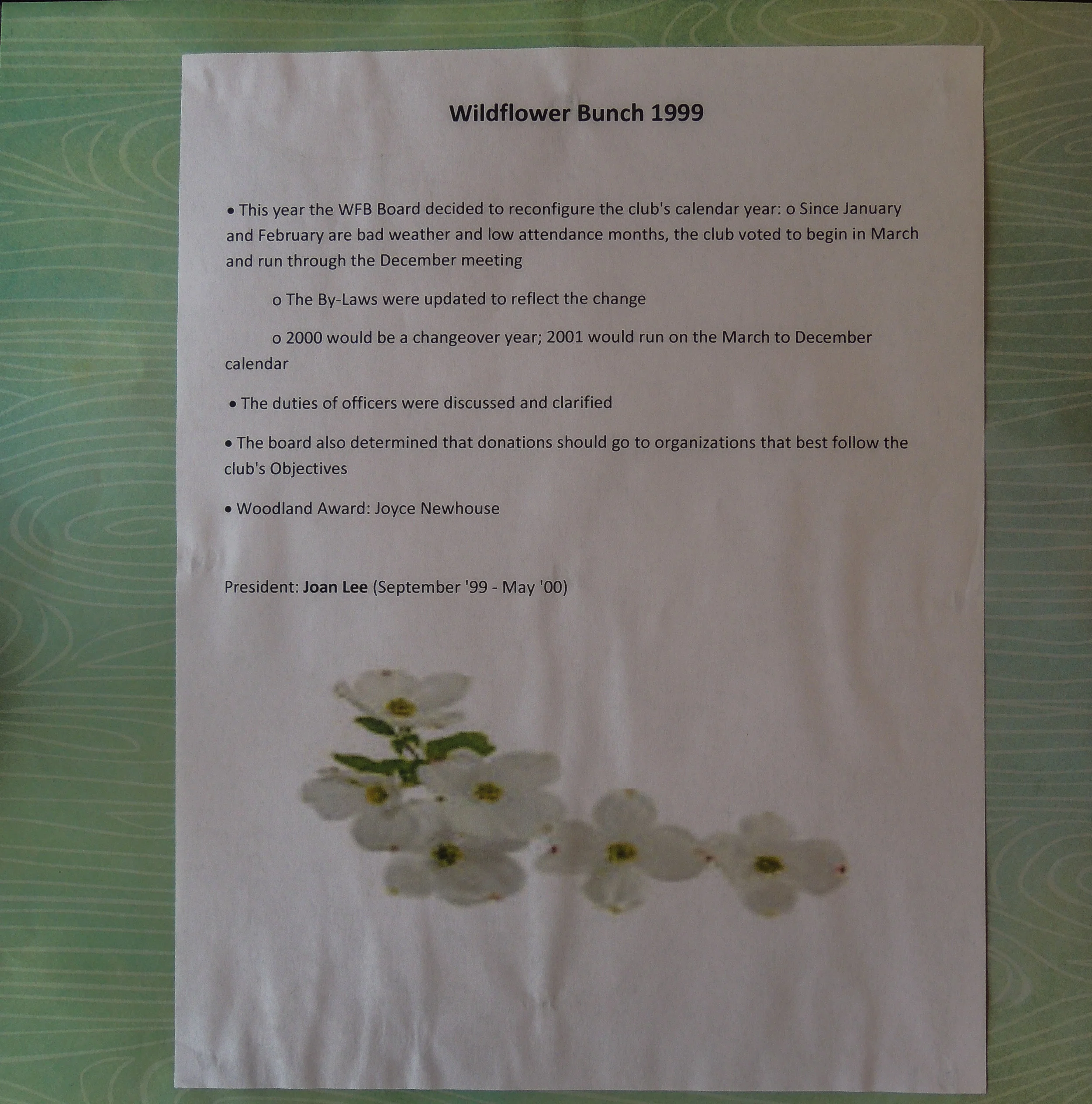 DSCN5103 2.jpg