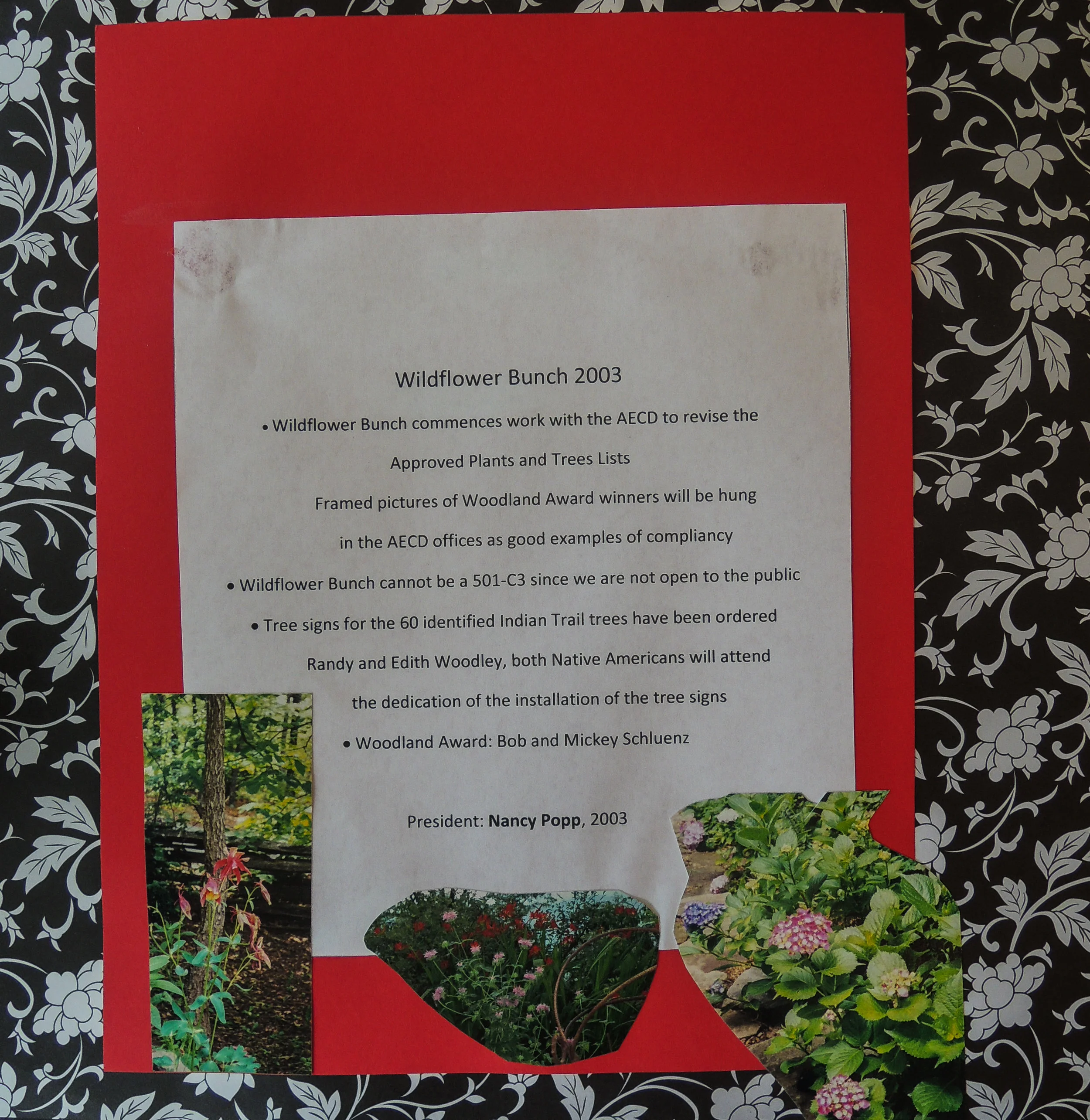 DSCN5118.jpg