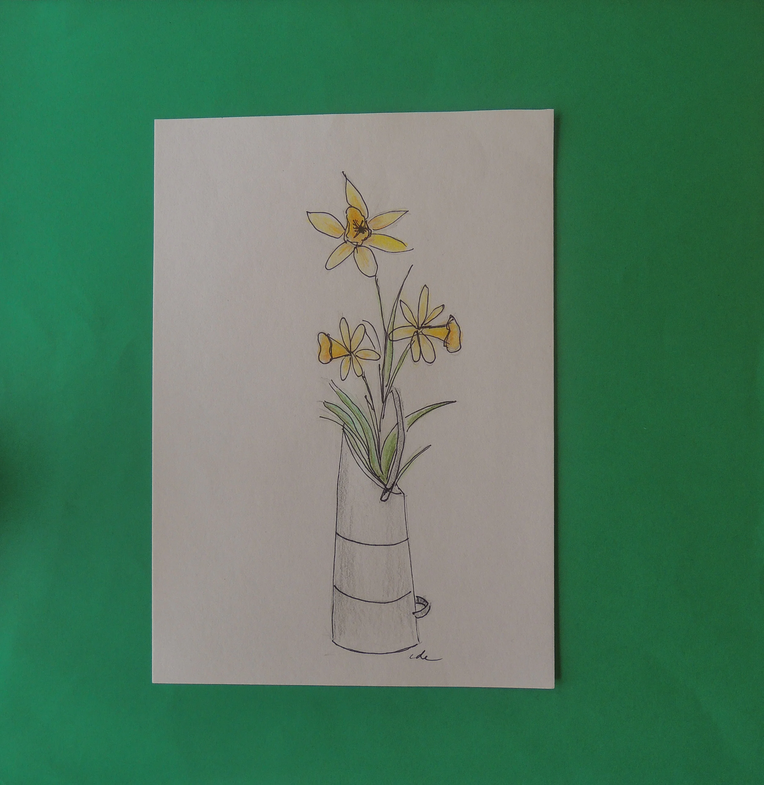 DSCN5179.jpg