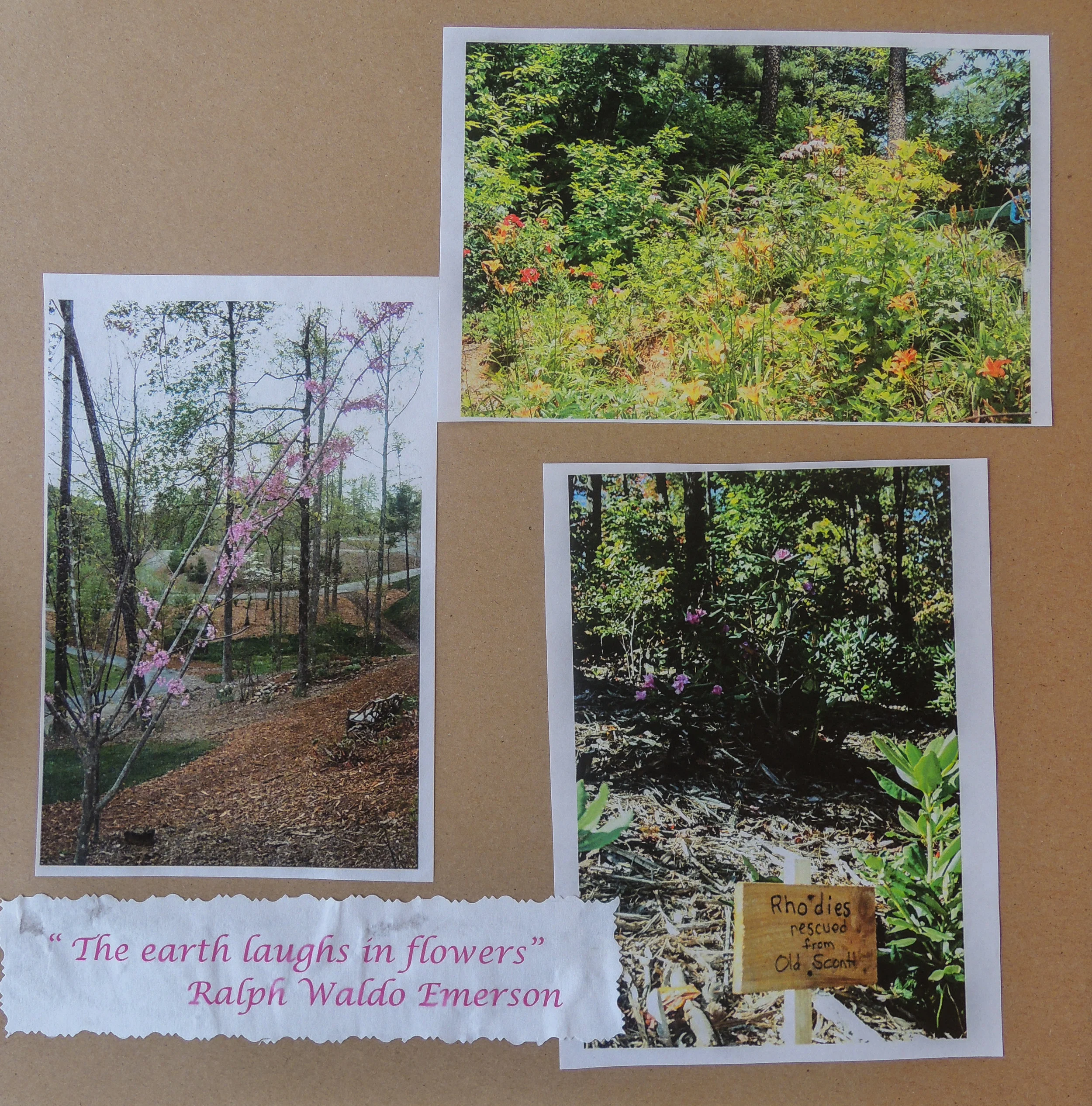 DSCN5188.jpg
