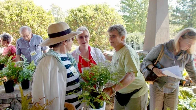2018 May Meeting - Eleanor Craig gives advice on fern care to WFB members.