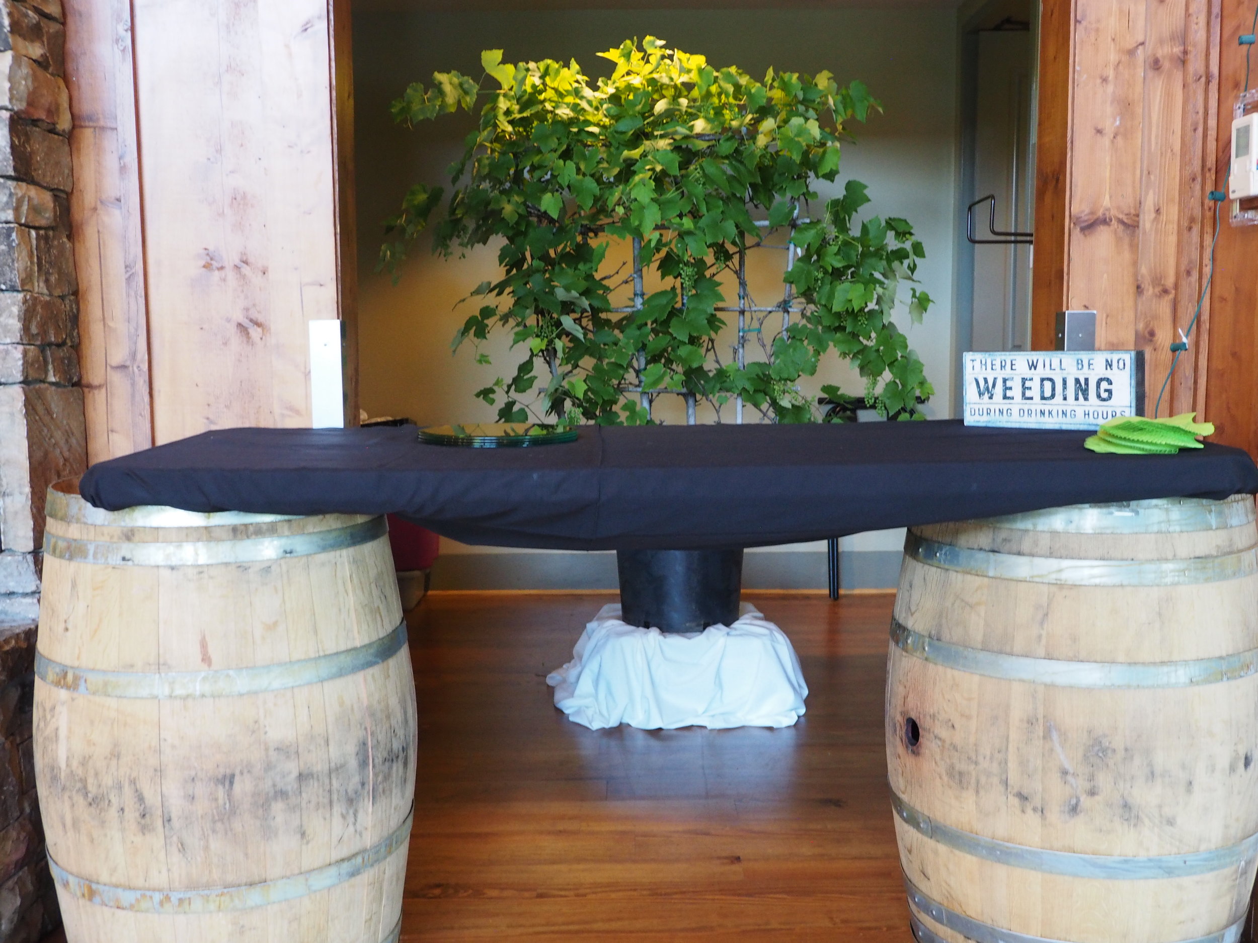 An espaliered grape vine was a perfect backdrop for the bar area.