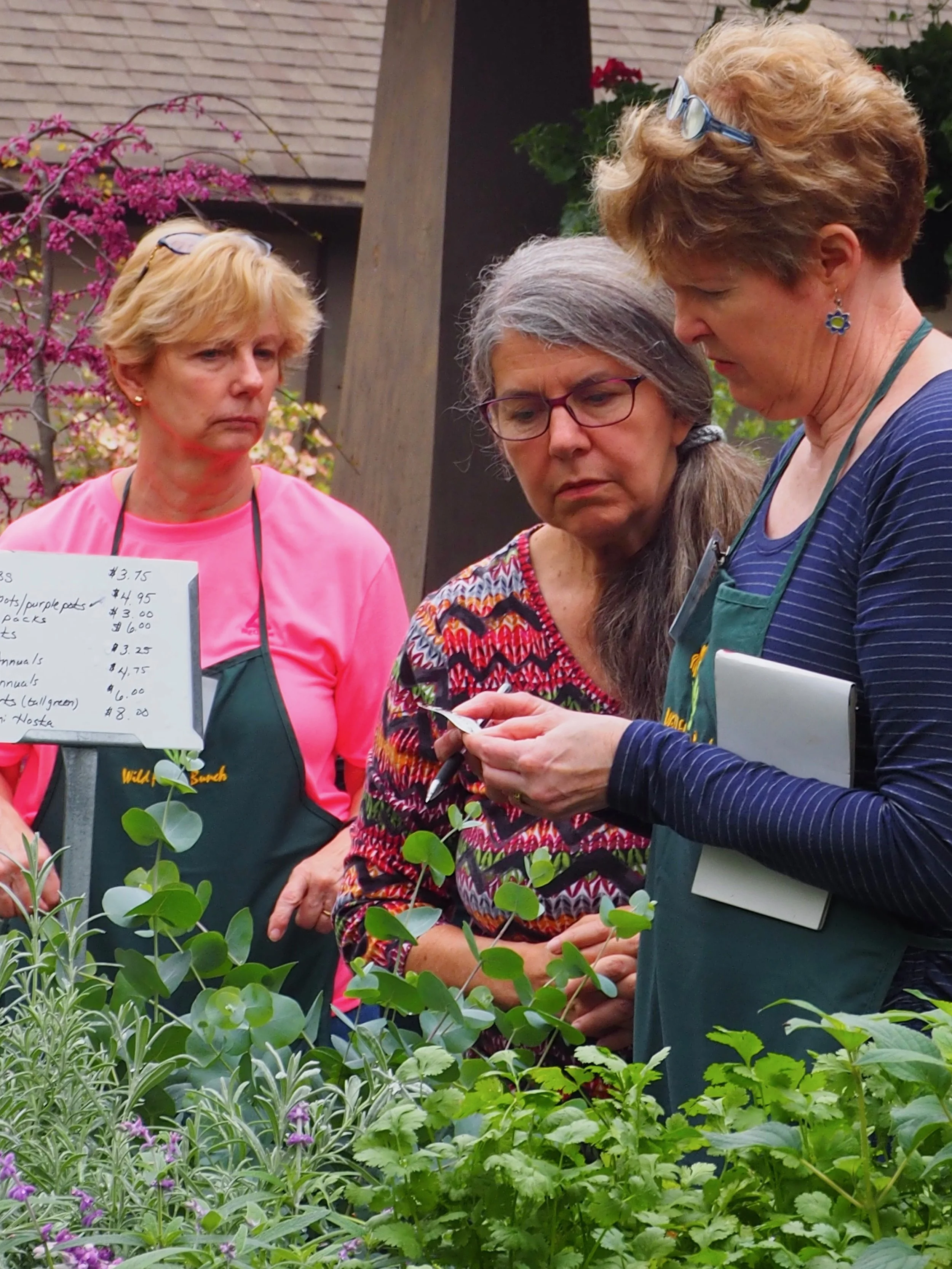 Plant Sale 2019 #56.jpeg