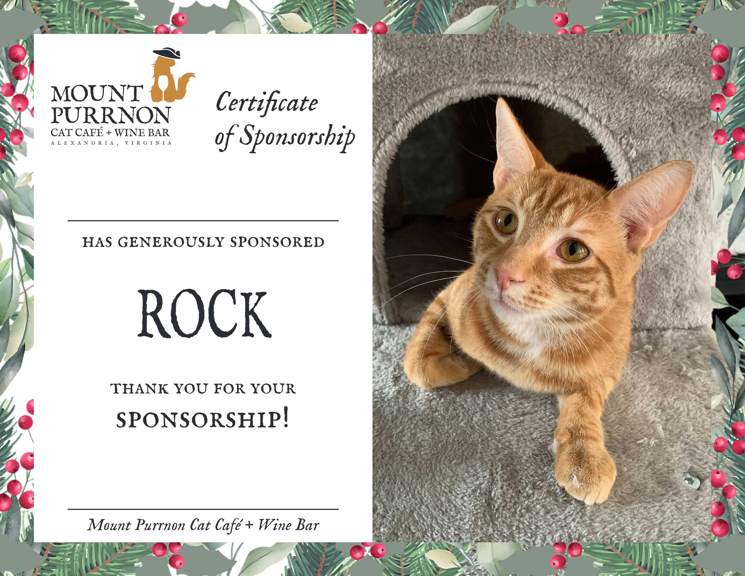 Cat Sponsorship