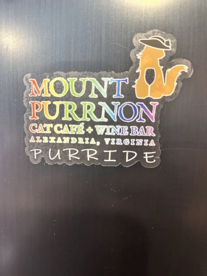 Shop — Mount Purrnon Cat Café and Wine Bar