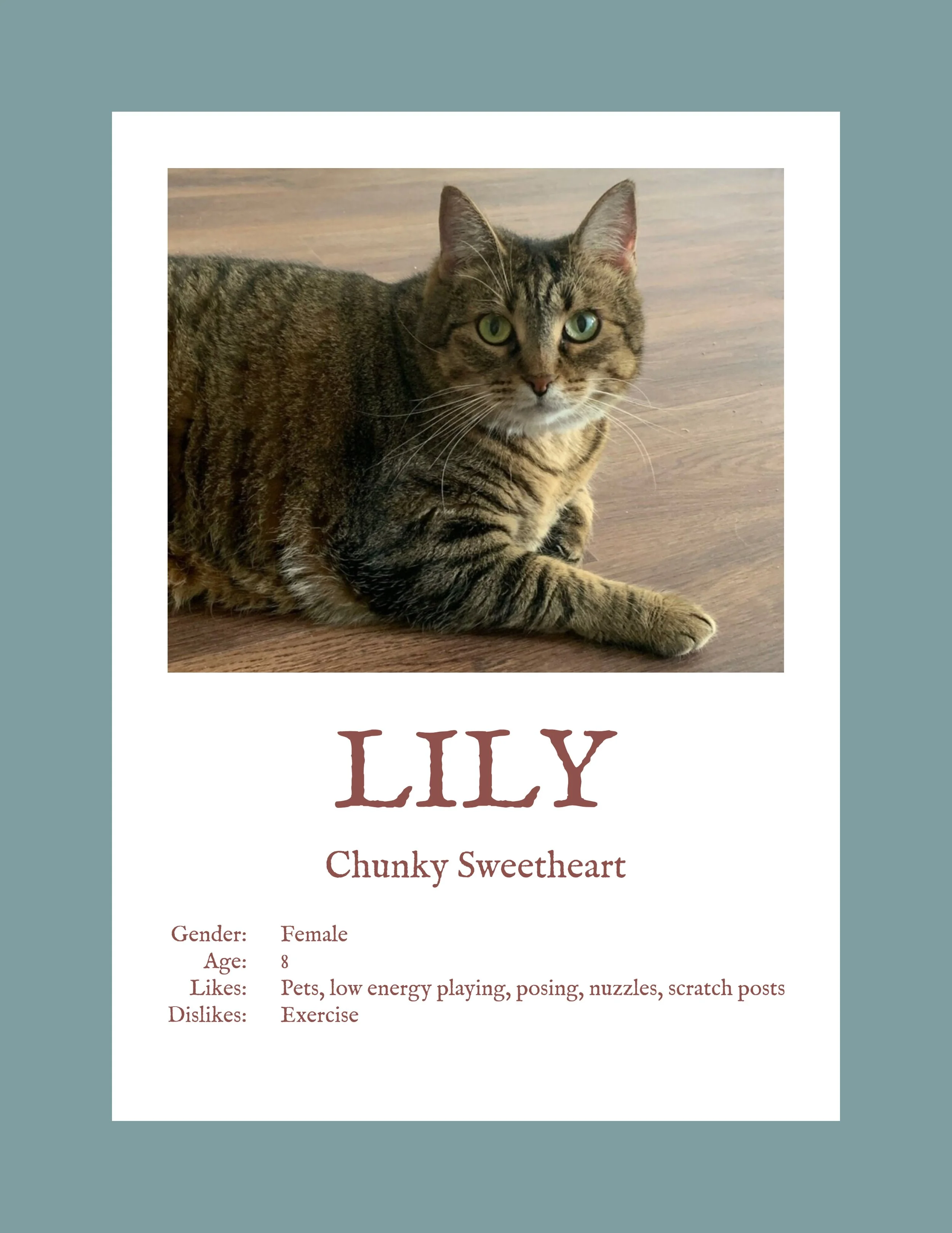 Lily.jpg