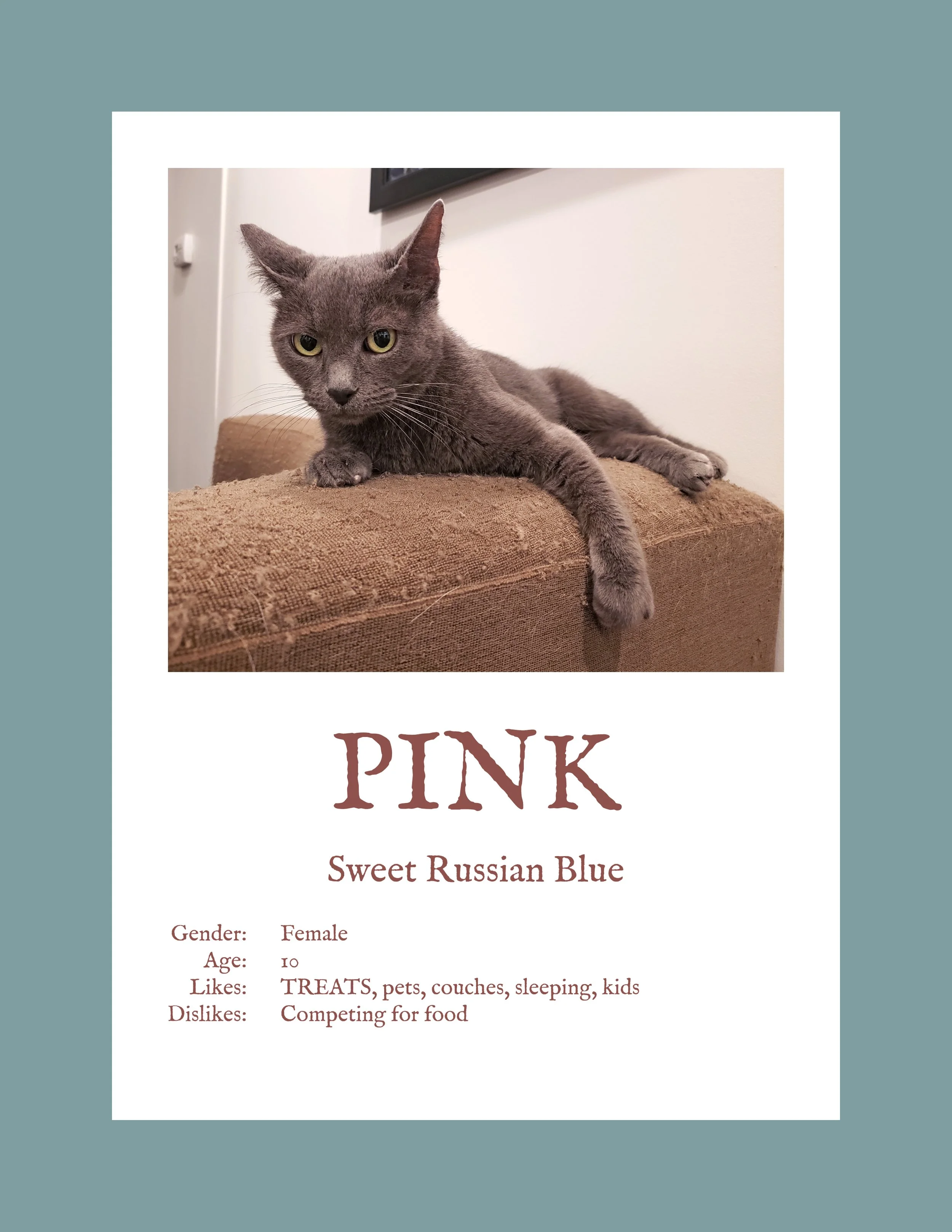Pink.jpg