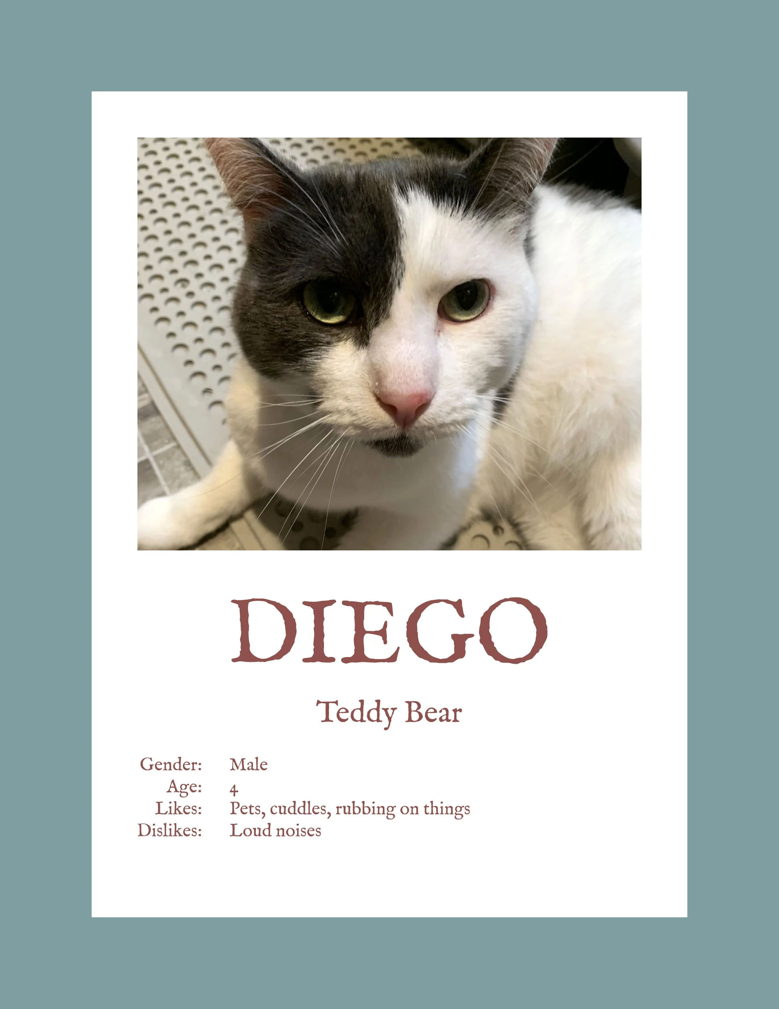 Diego.jpg