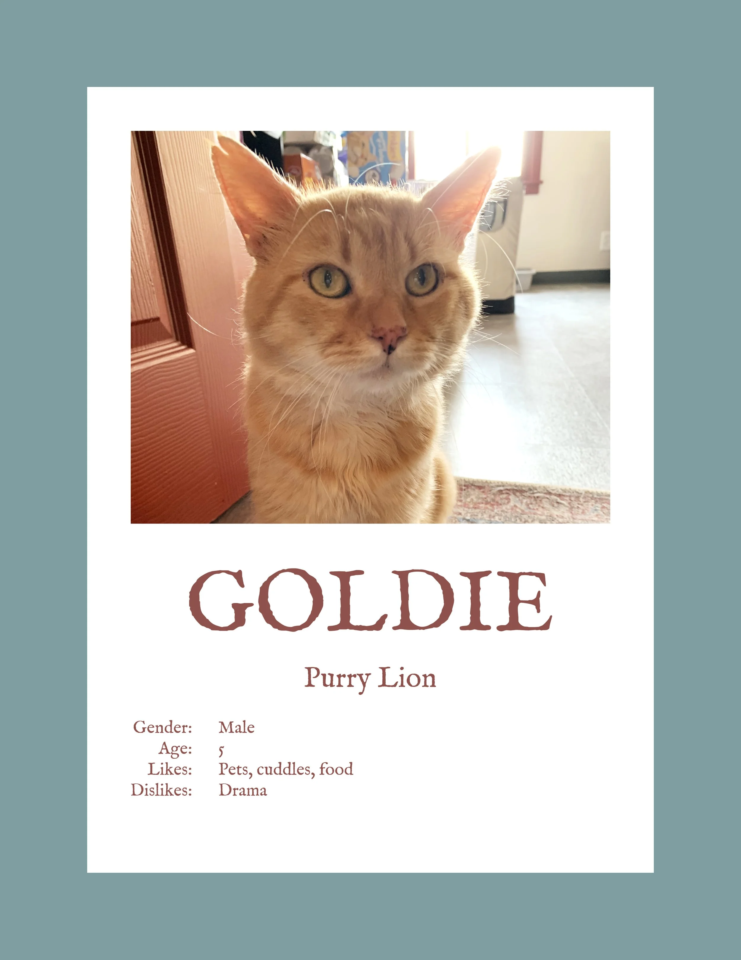 Goldie.jpg
