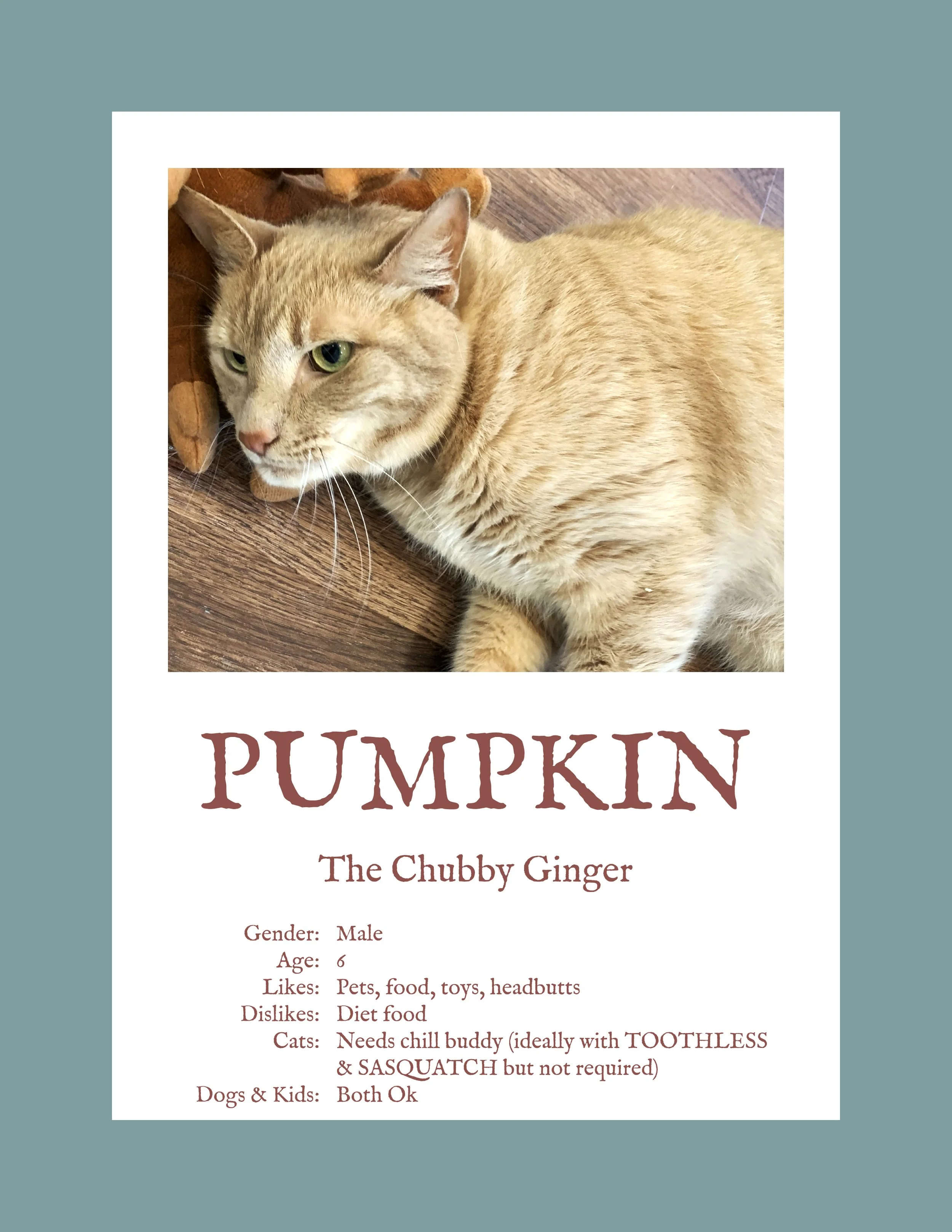 Pumpkin.jpg