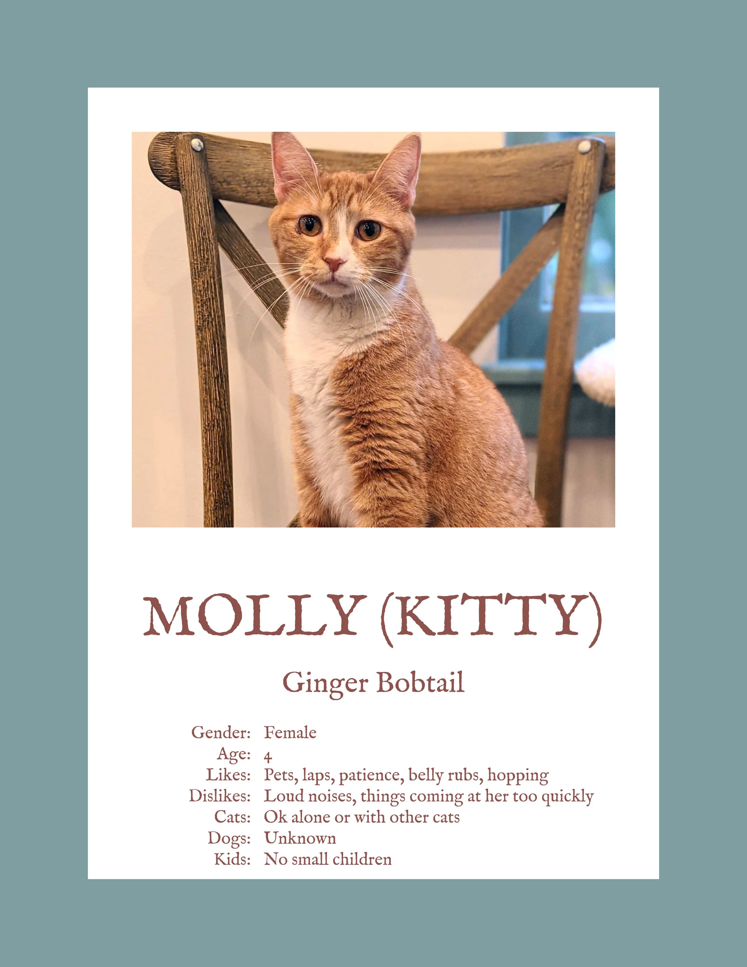 Molly.jpg
