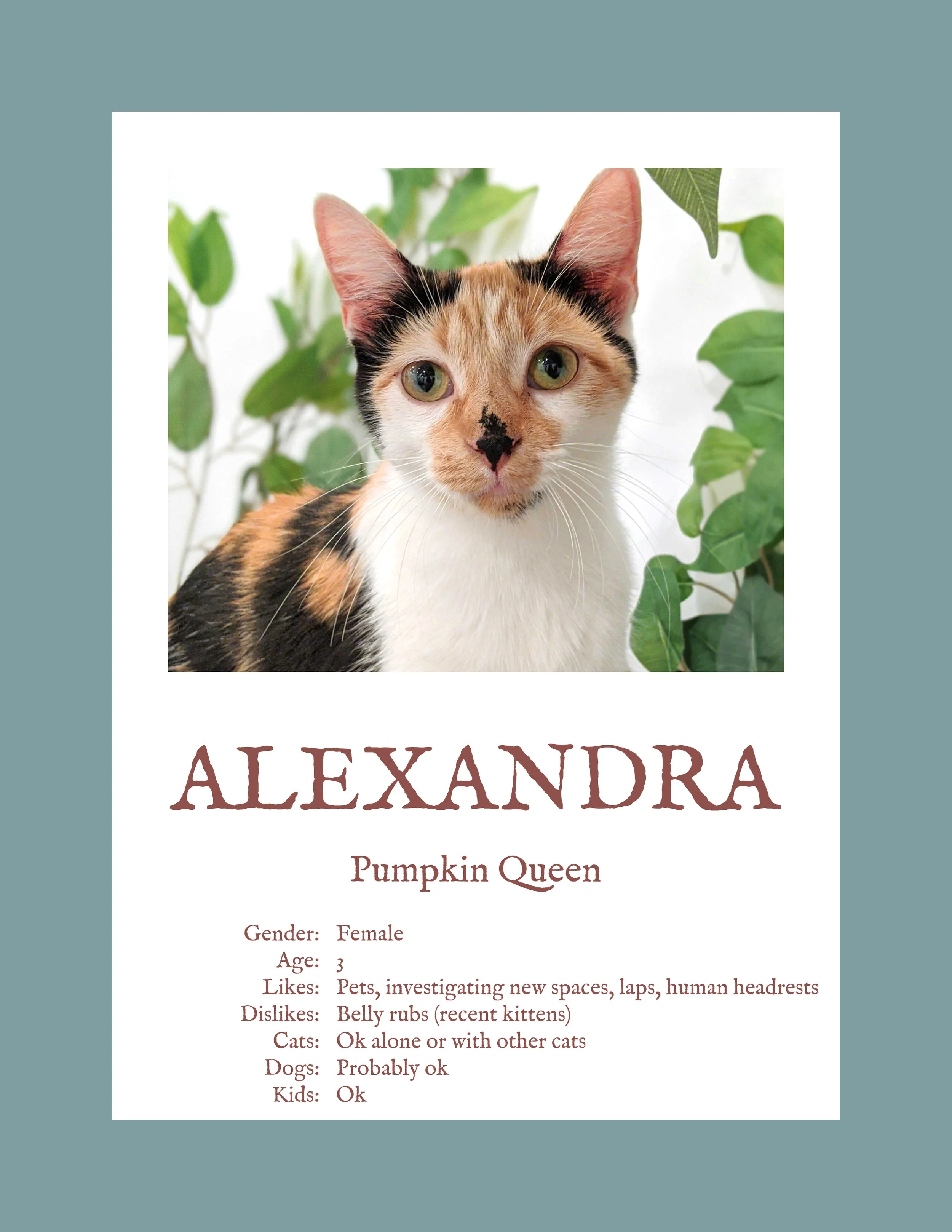 Alexandra.jpg