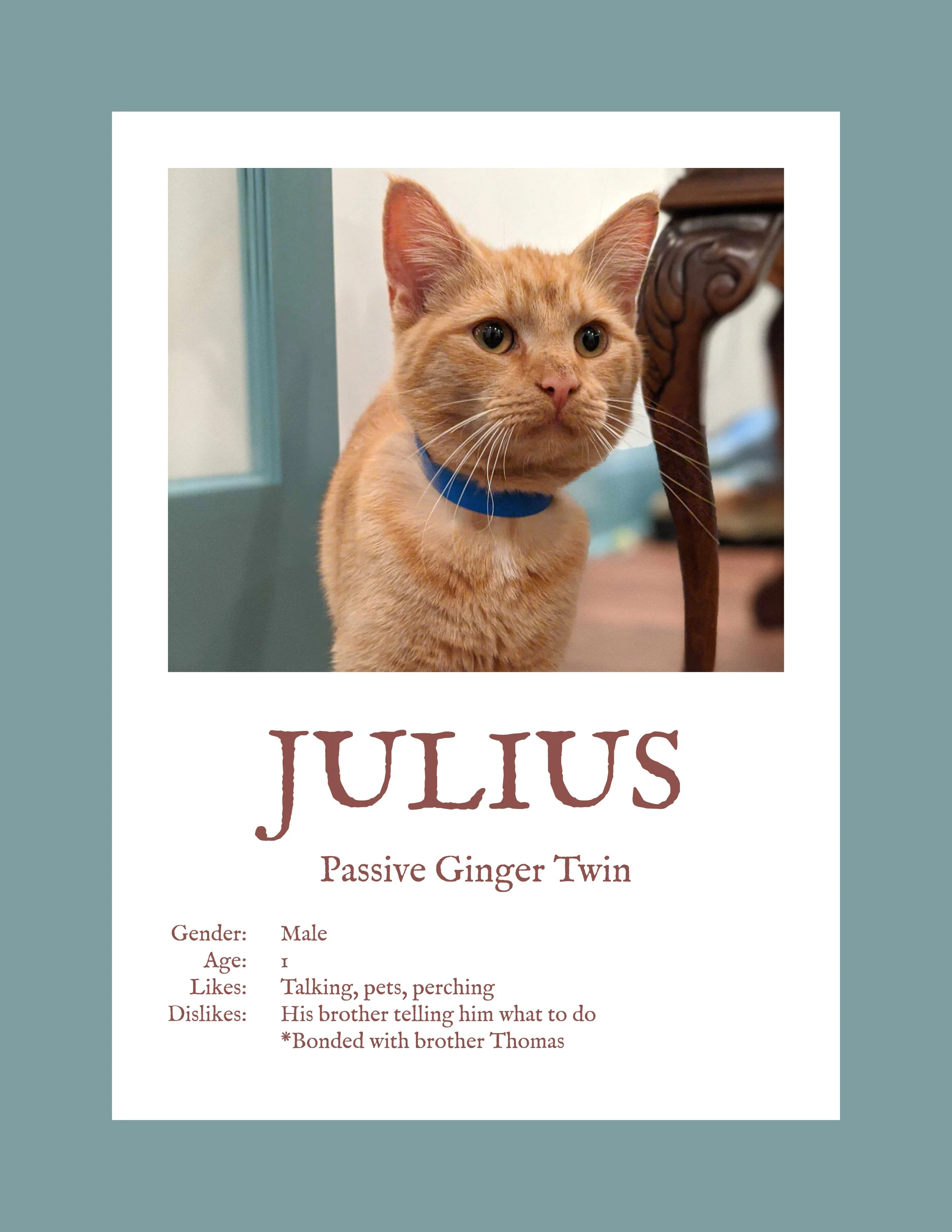 Julius.jpg