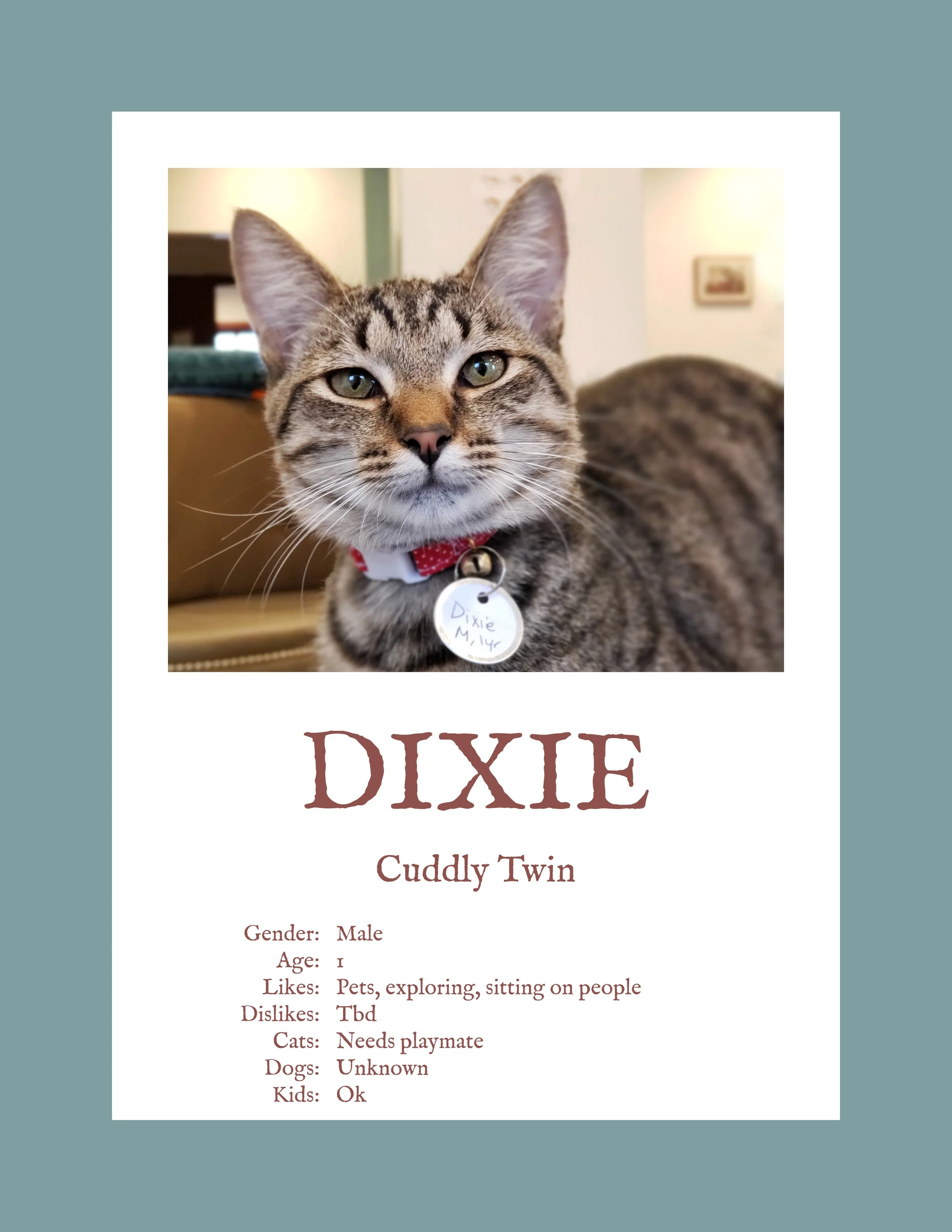 Dixie.jpg