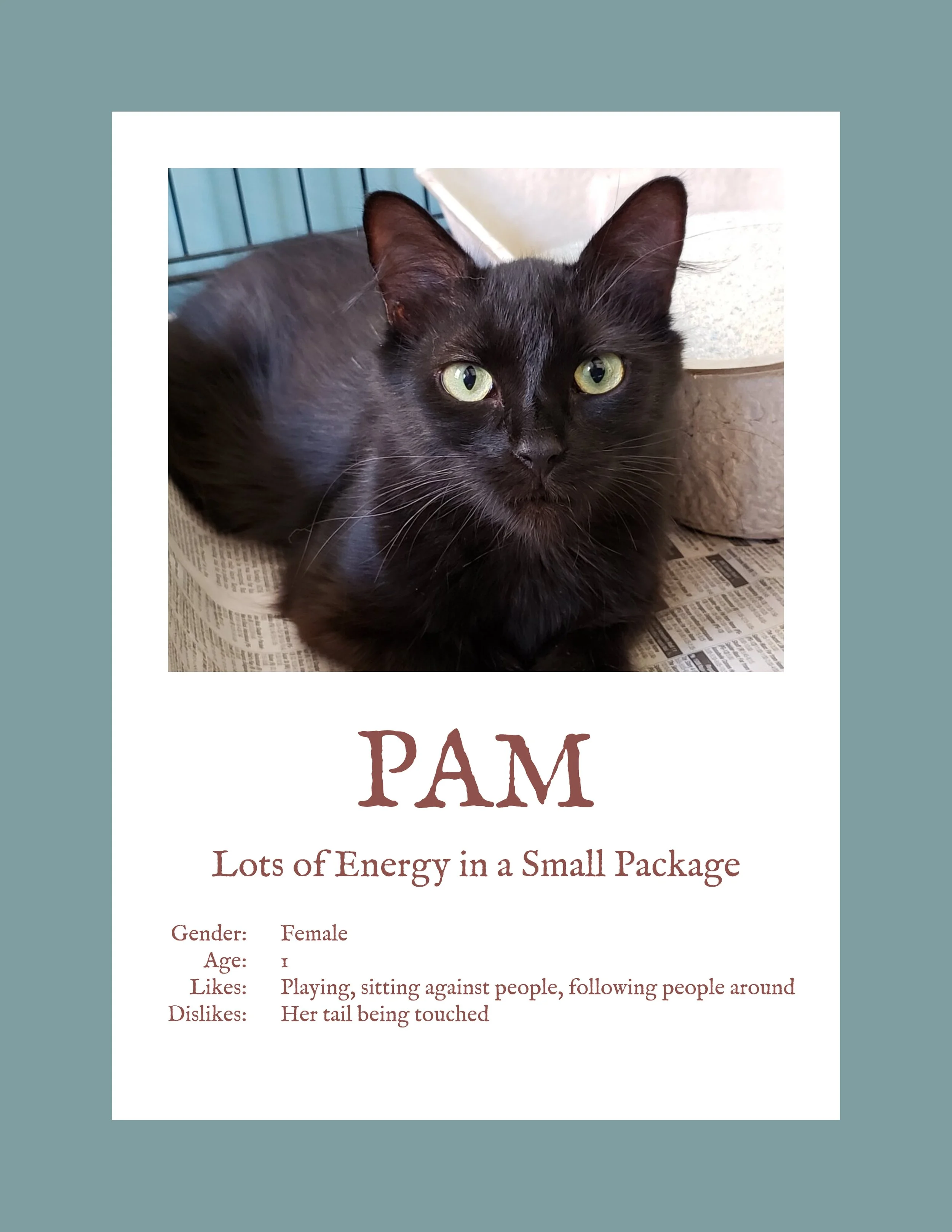 Pam.jpg