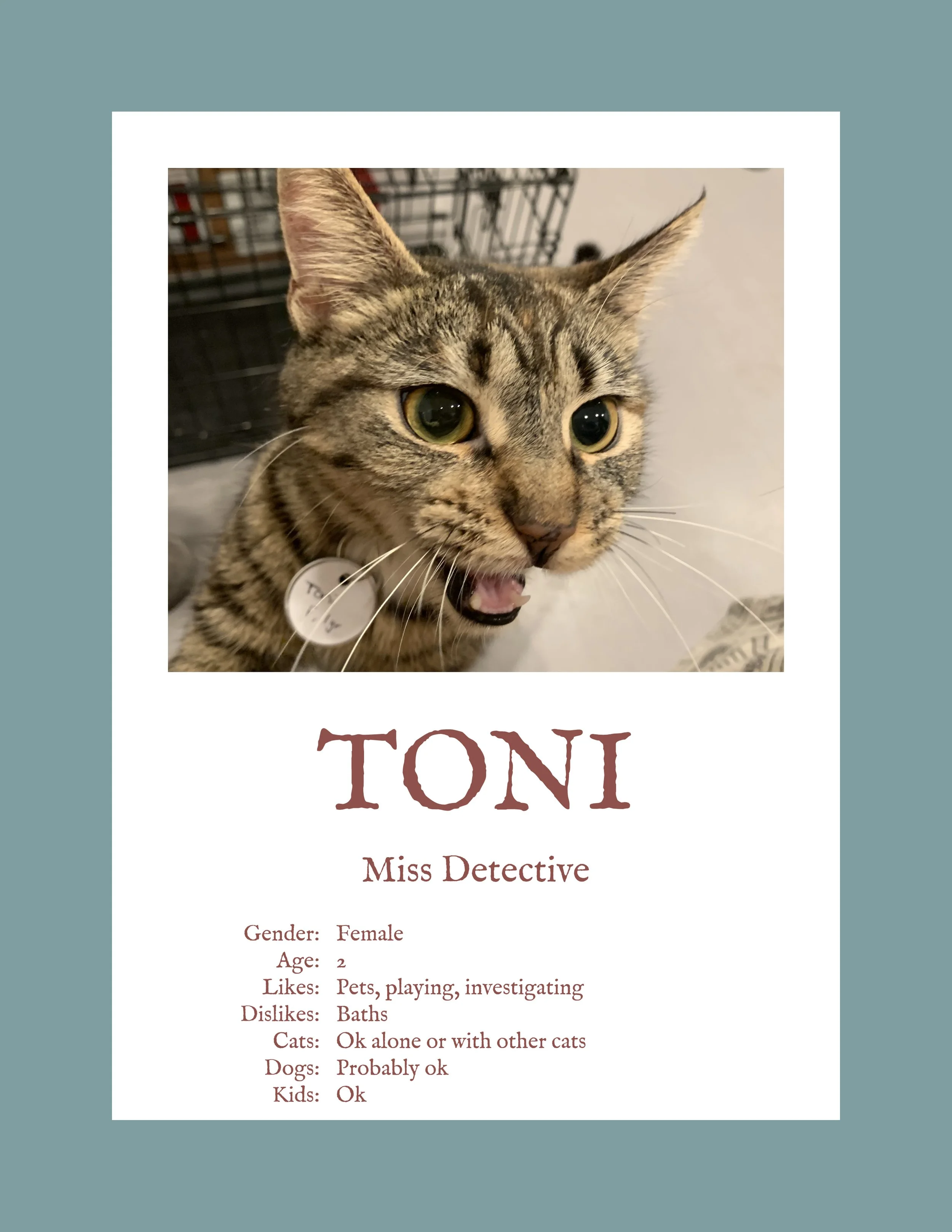 Toni.jpg