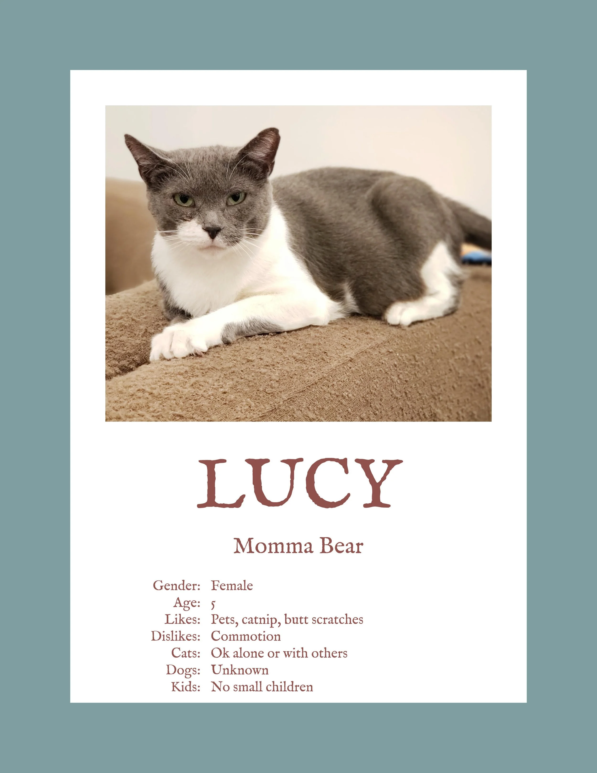 Lucy.jpg