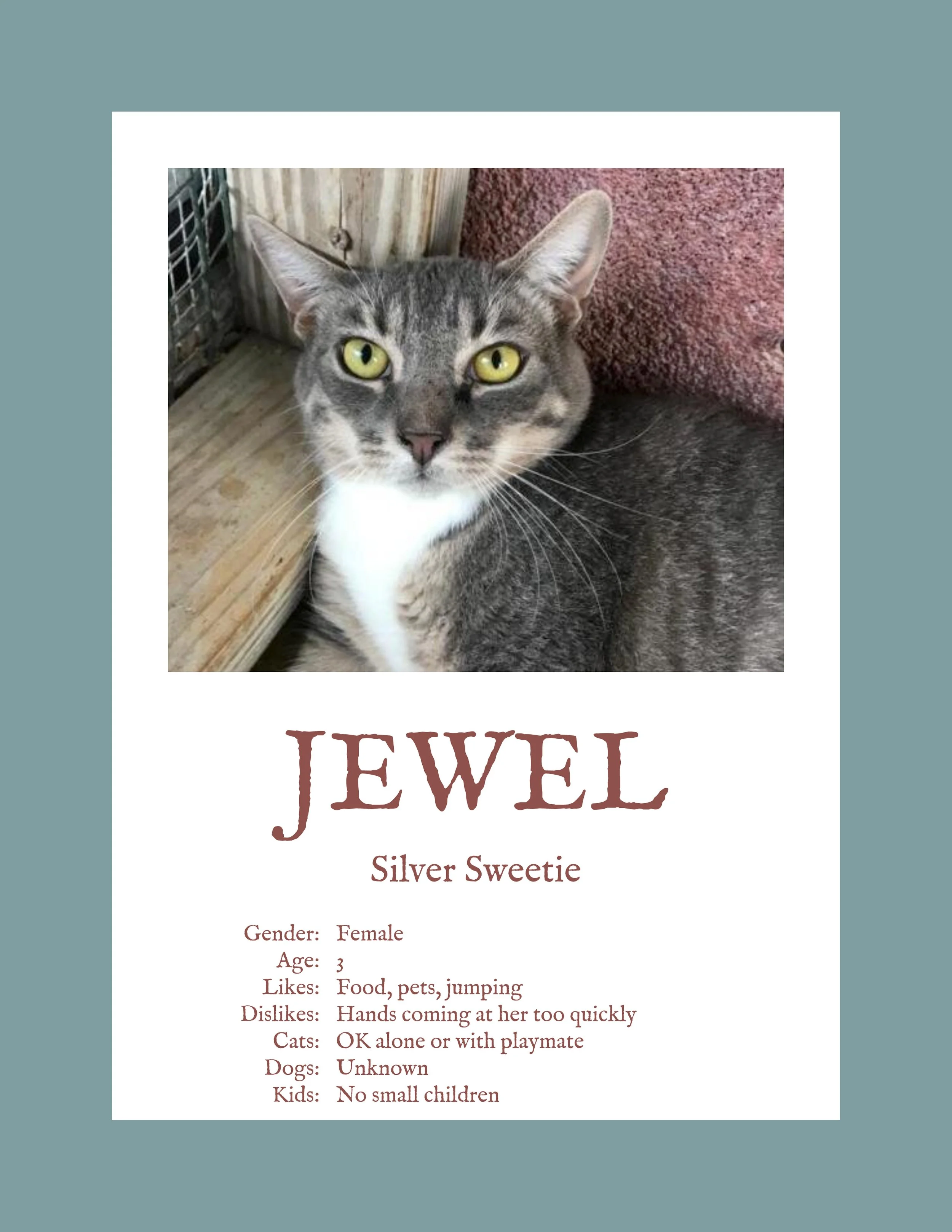 Jewel.jpg
