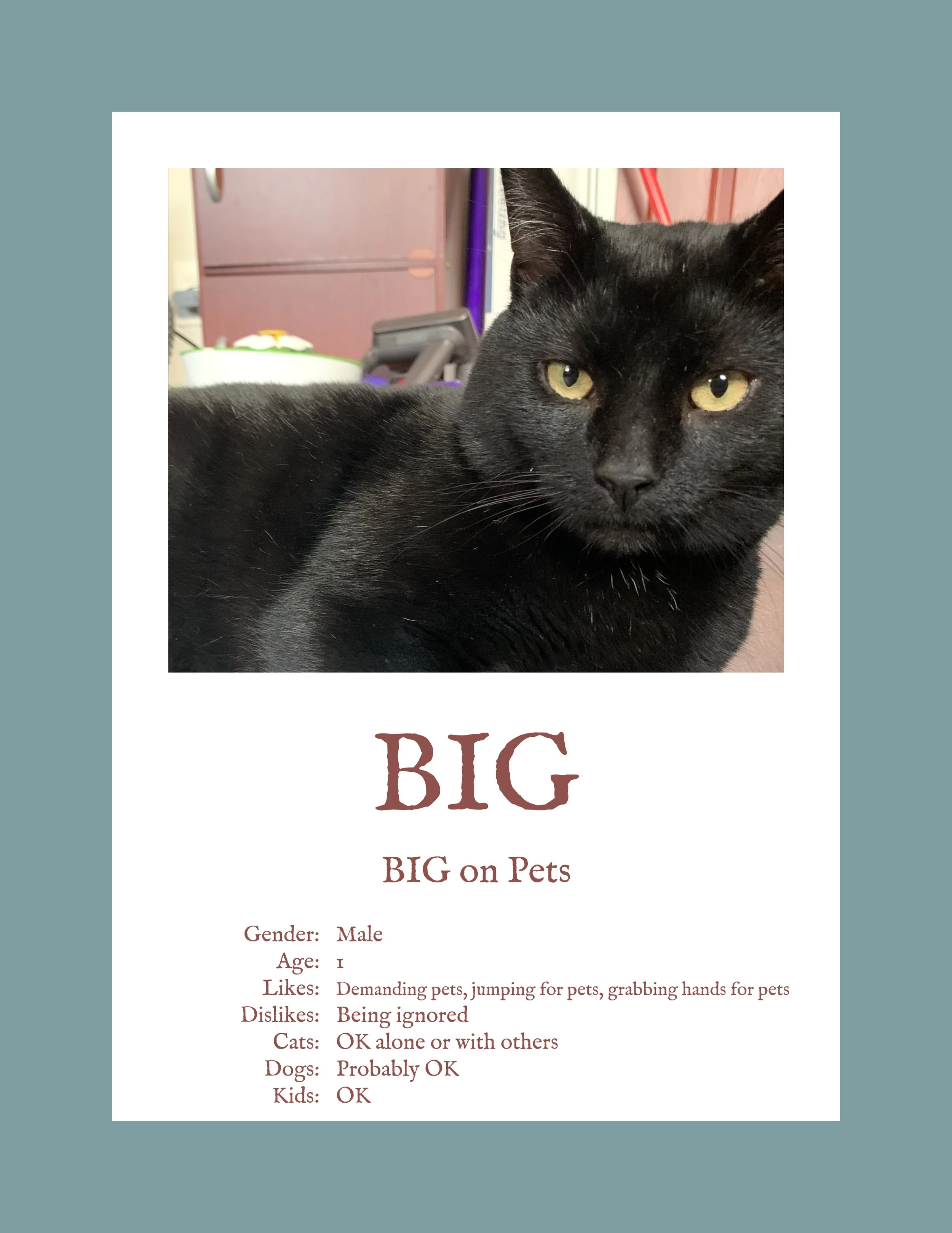 Big.jpg