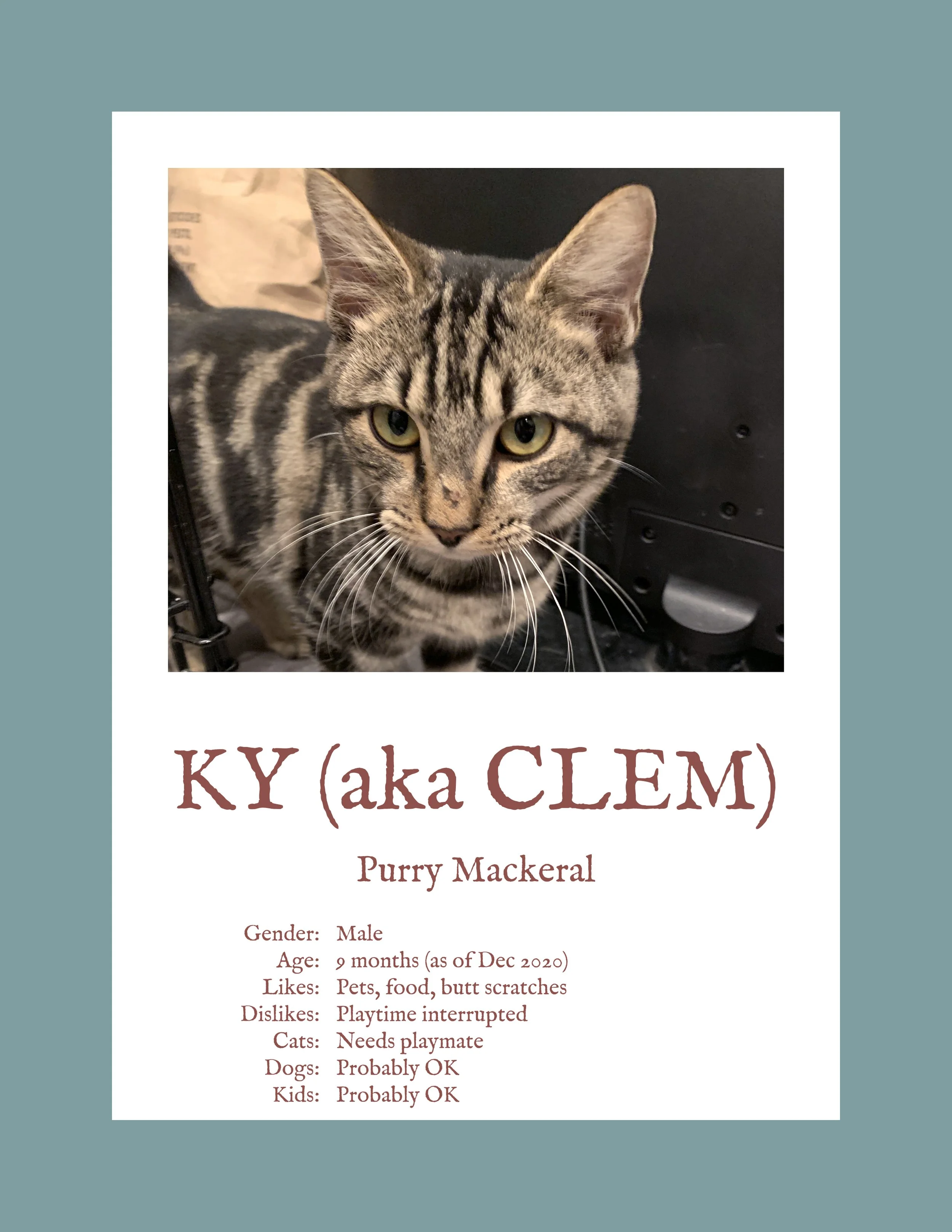Ky.jpg