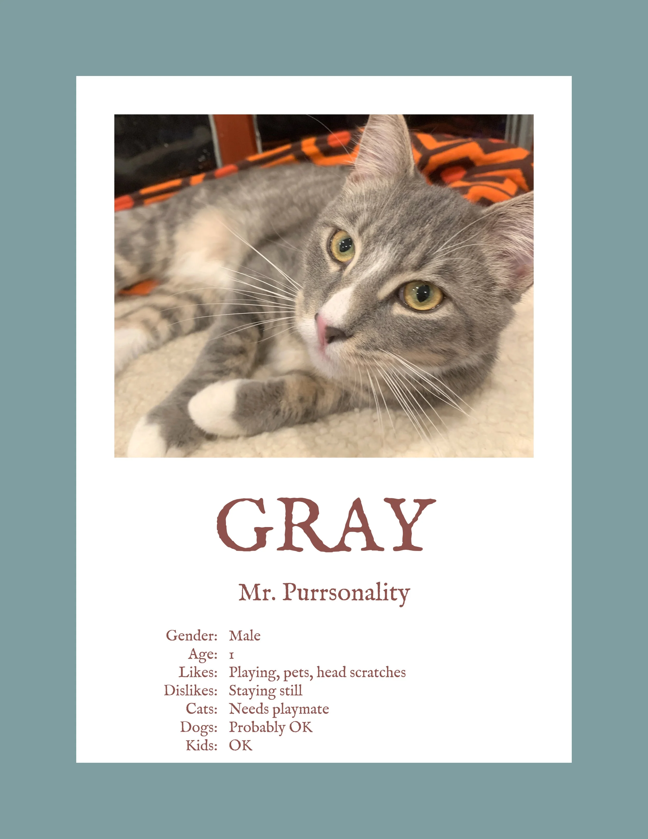 Gray.jpg