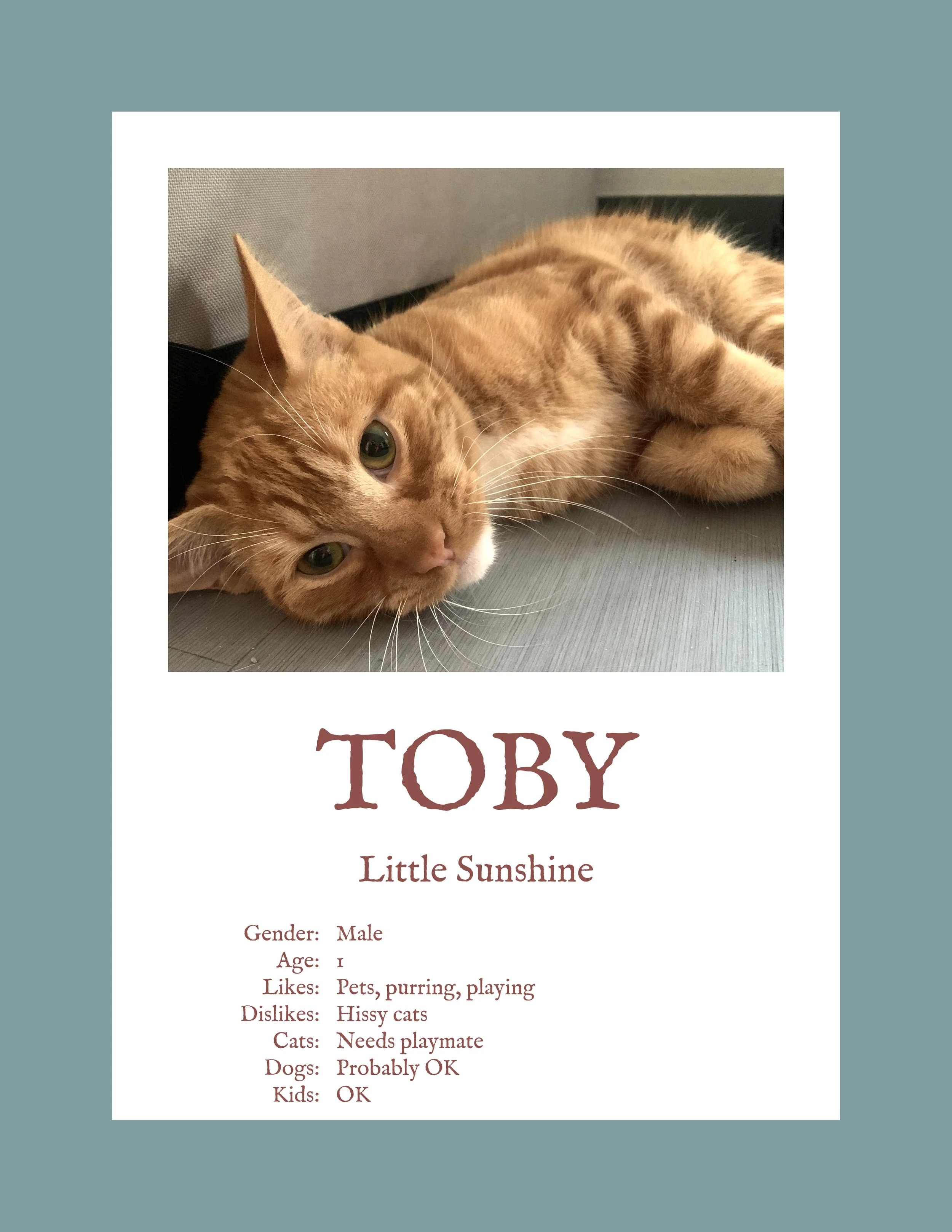 Toby.jpg