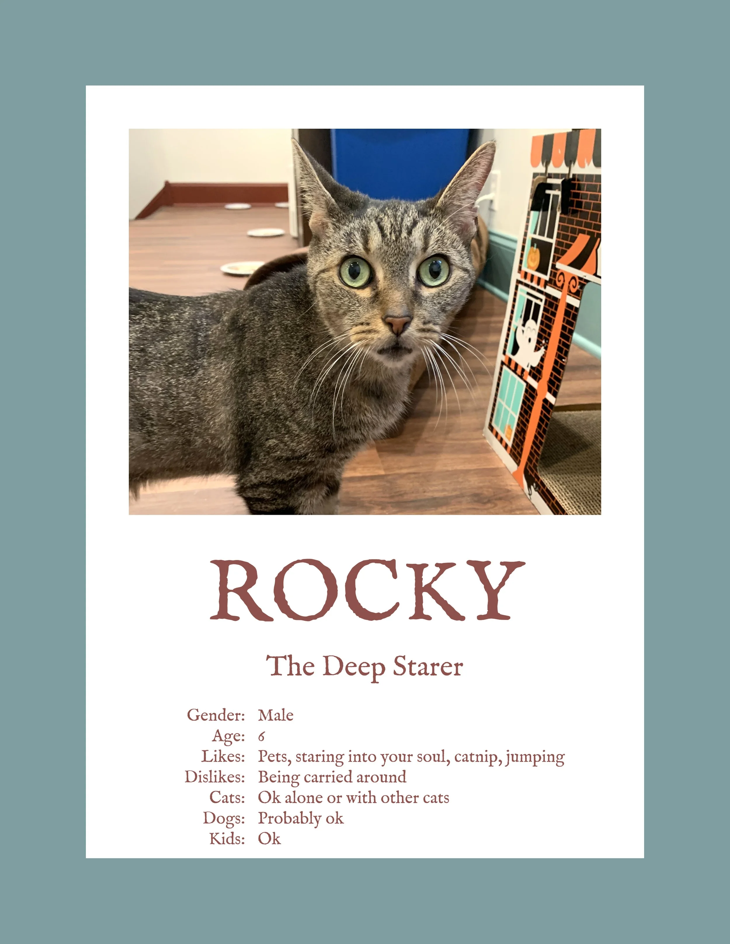 Rocky.jpg