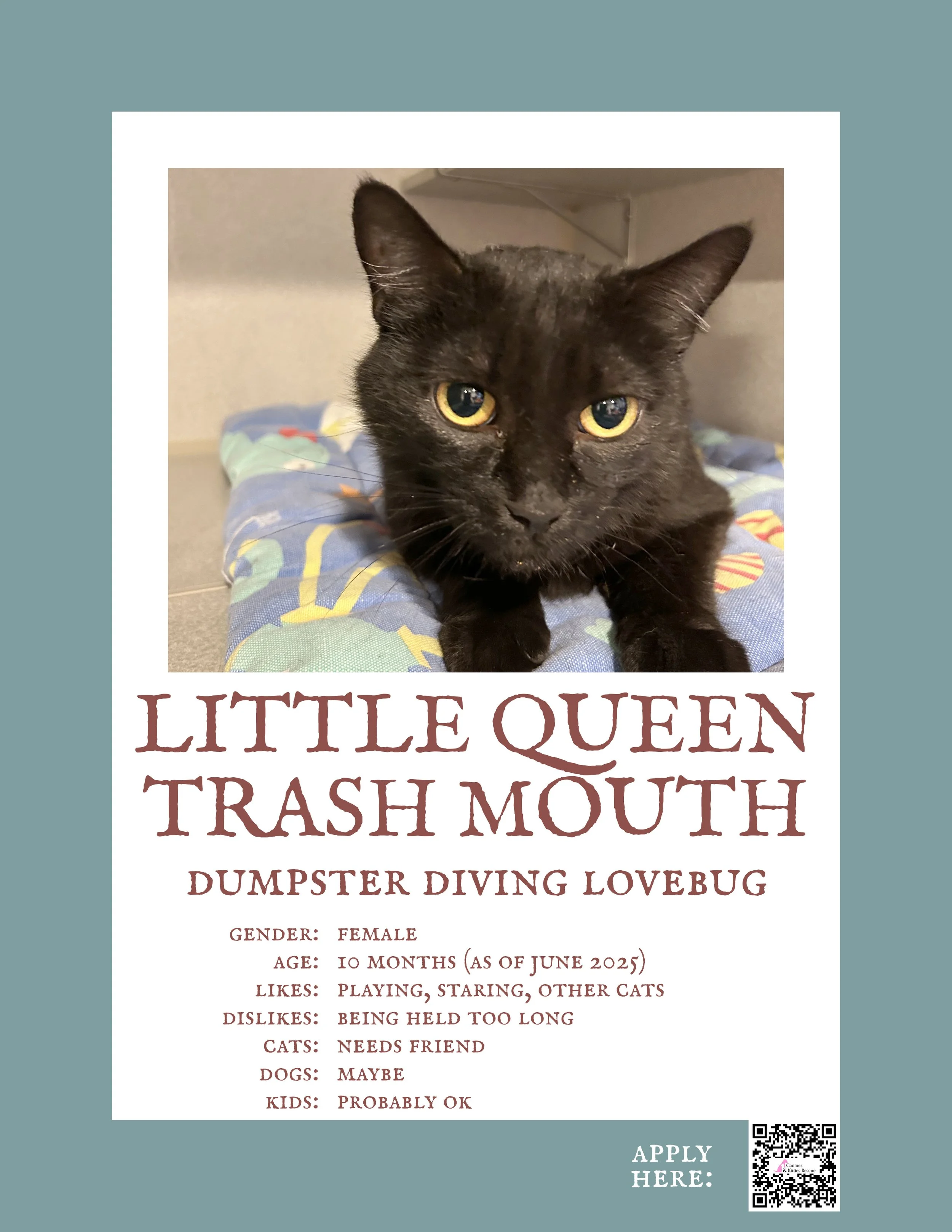 Little Queen Trash Mouth.jpg