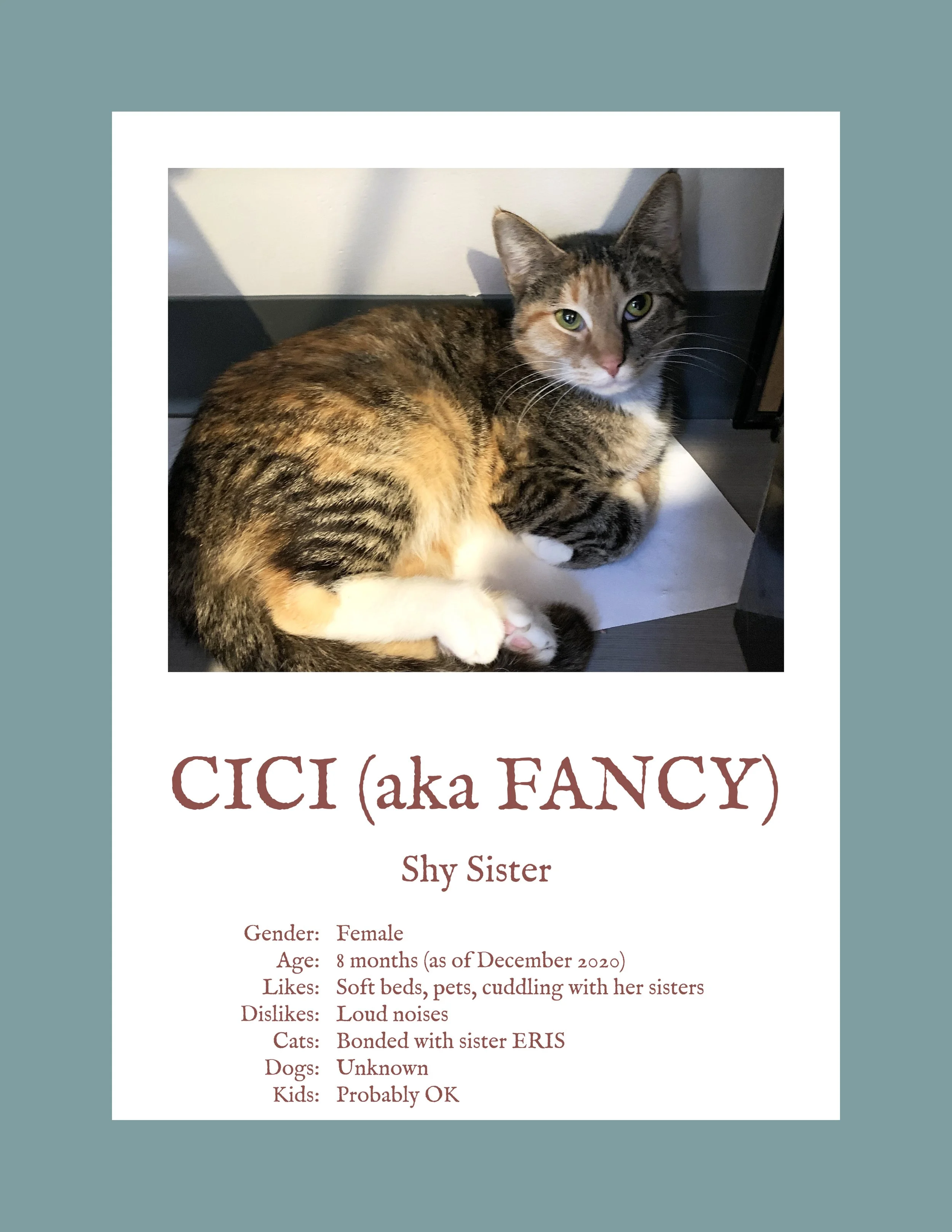 Cici.jpg