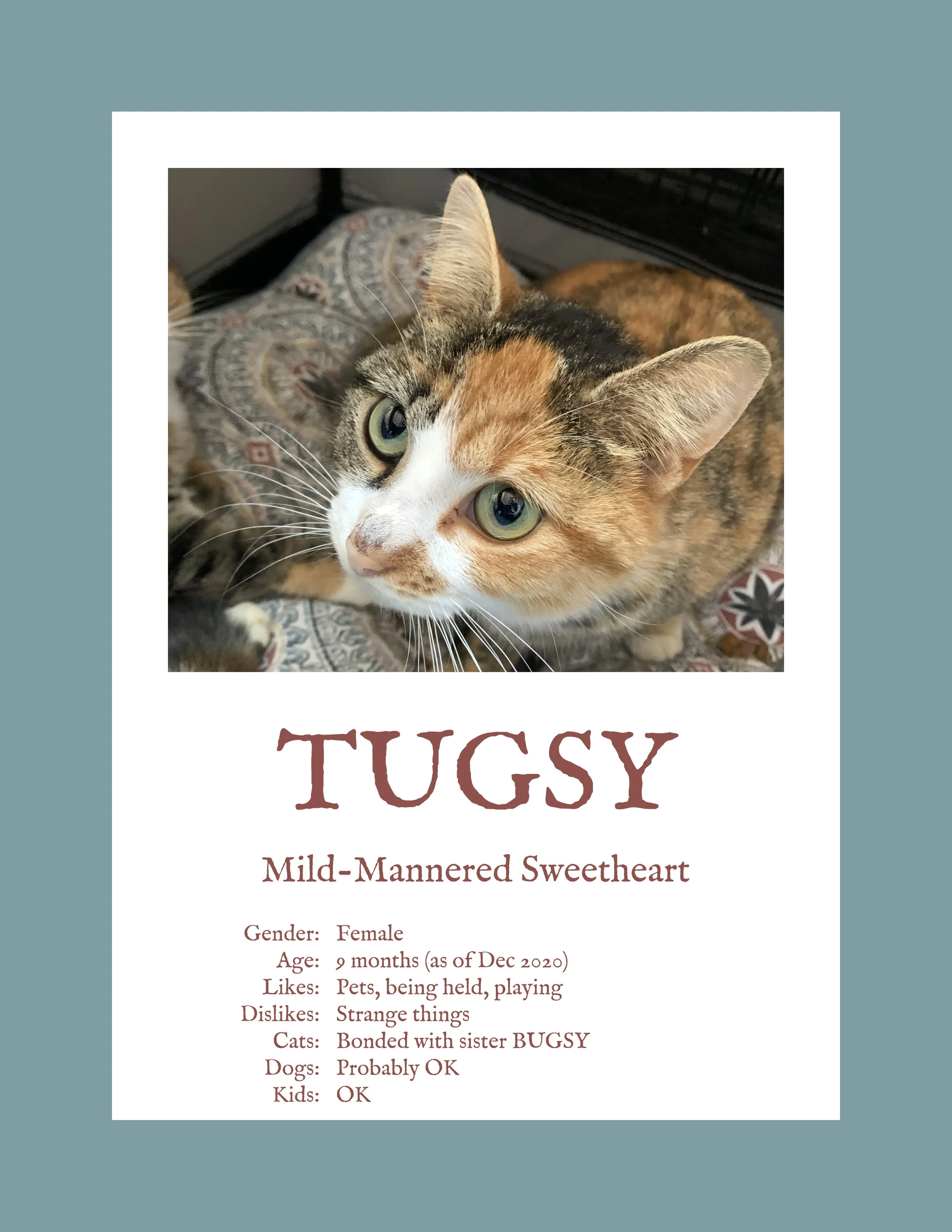 Tugsy.jpg