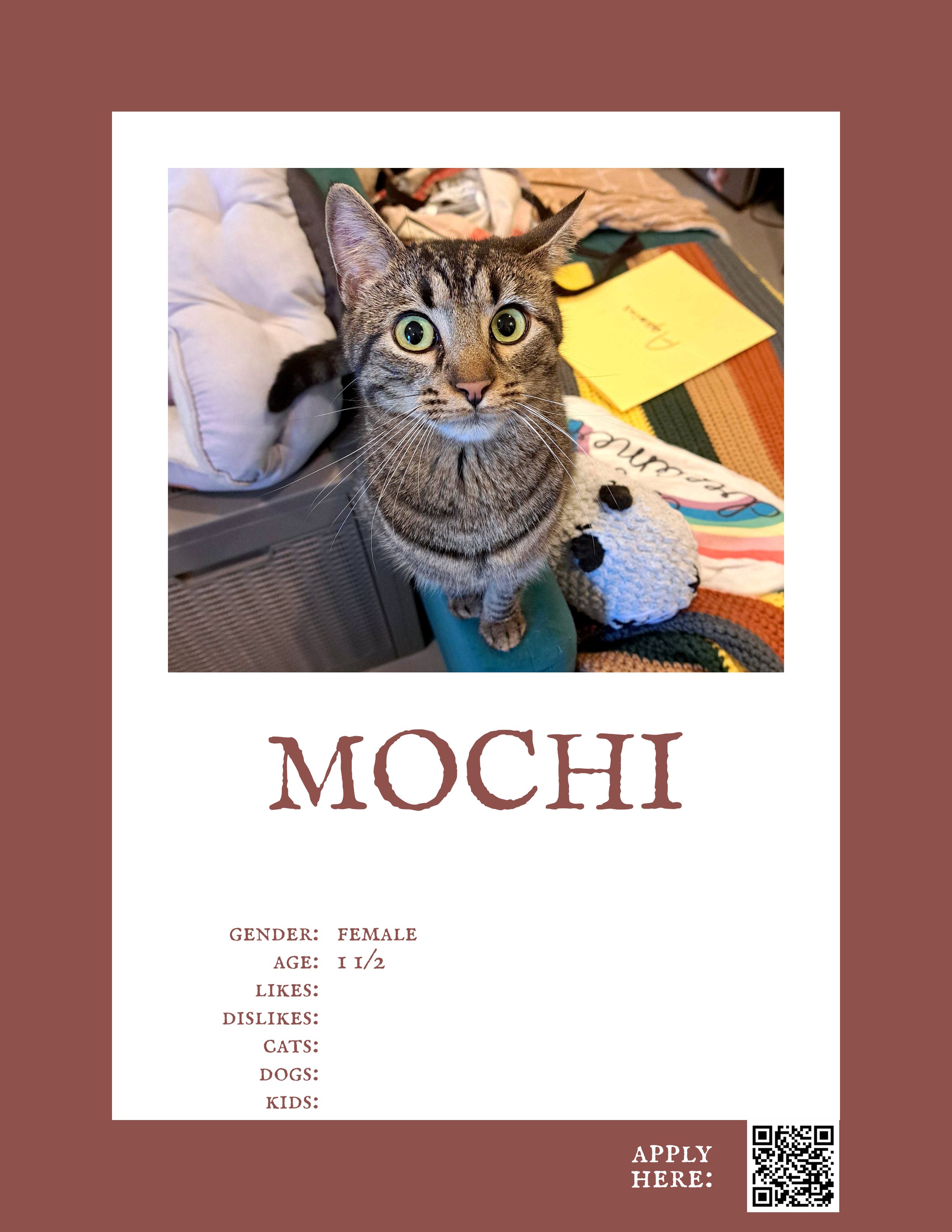 Mochi 2.jpg