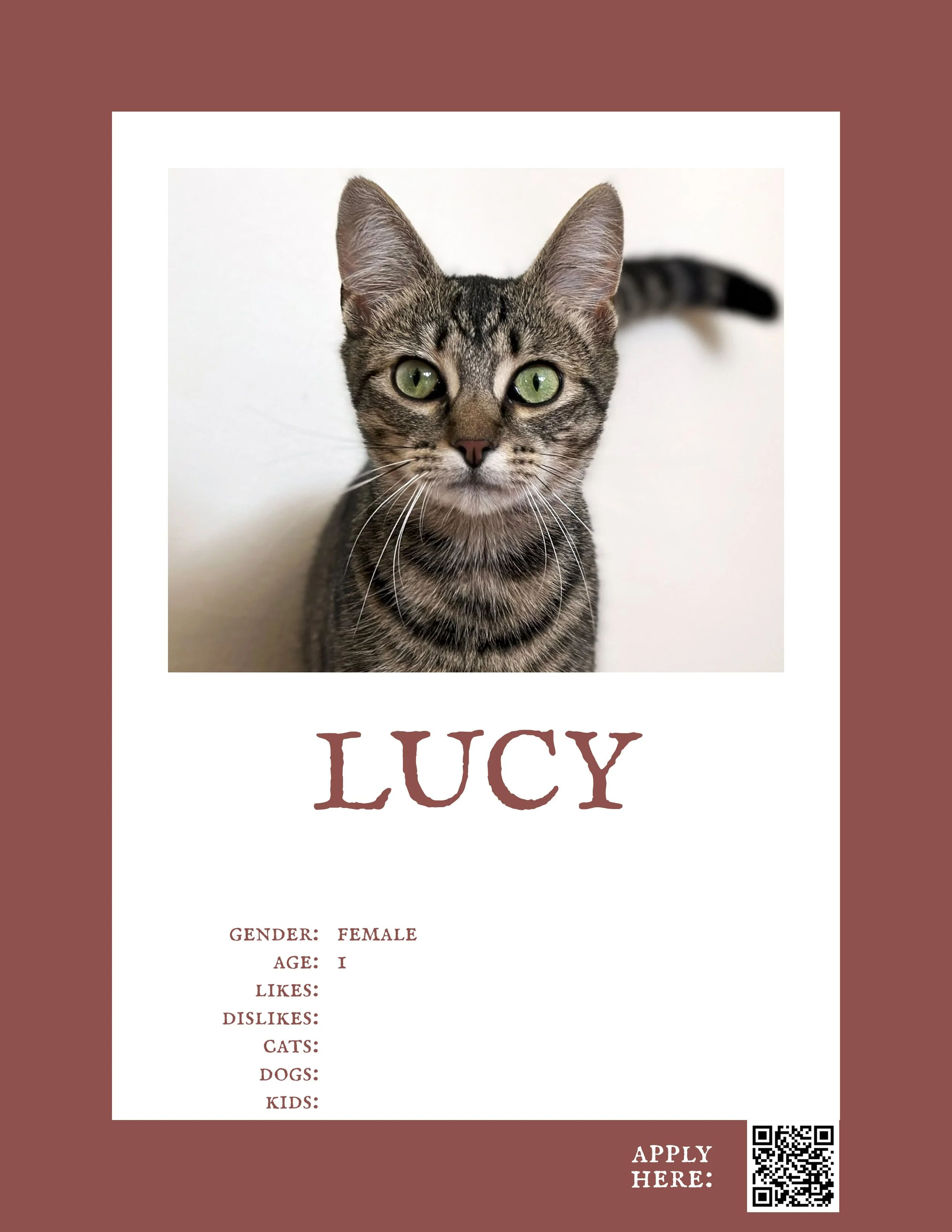 Lucy 3.jpg