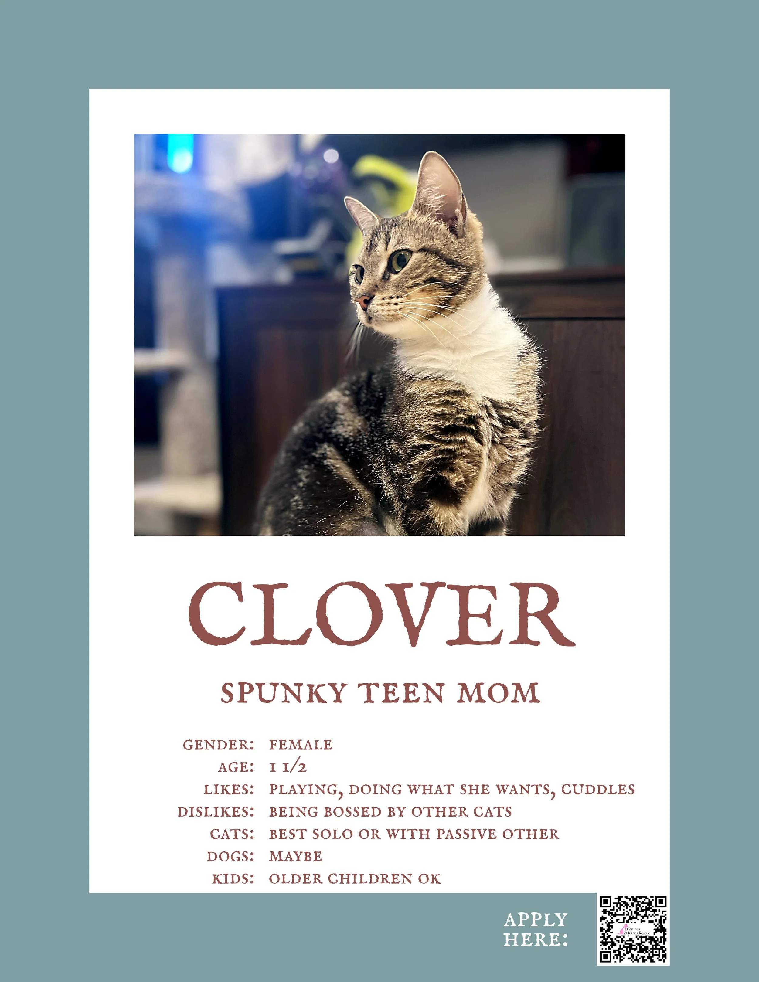 Clover 2.jpg