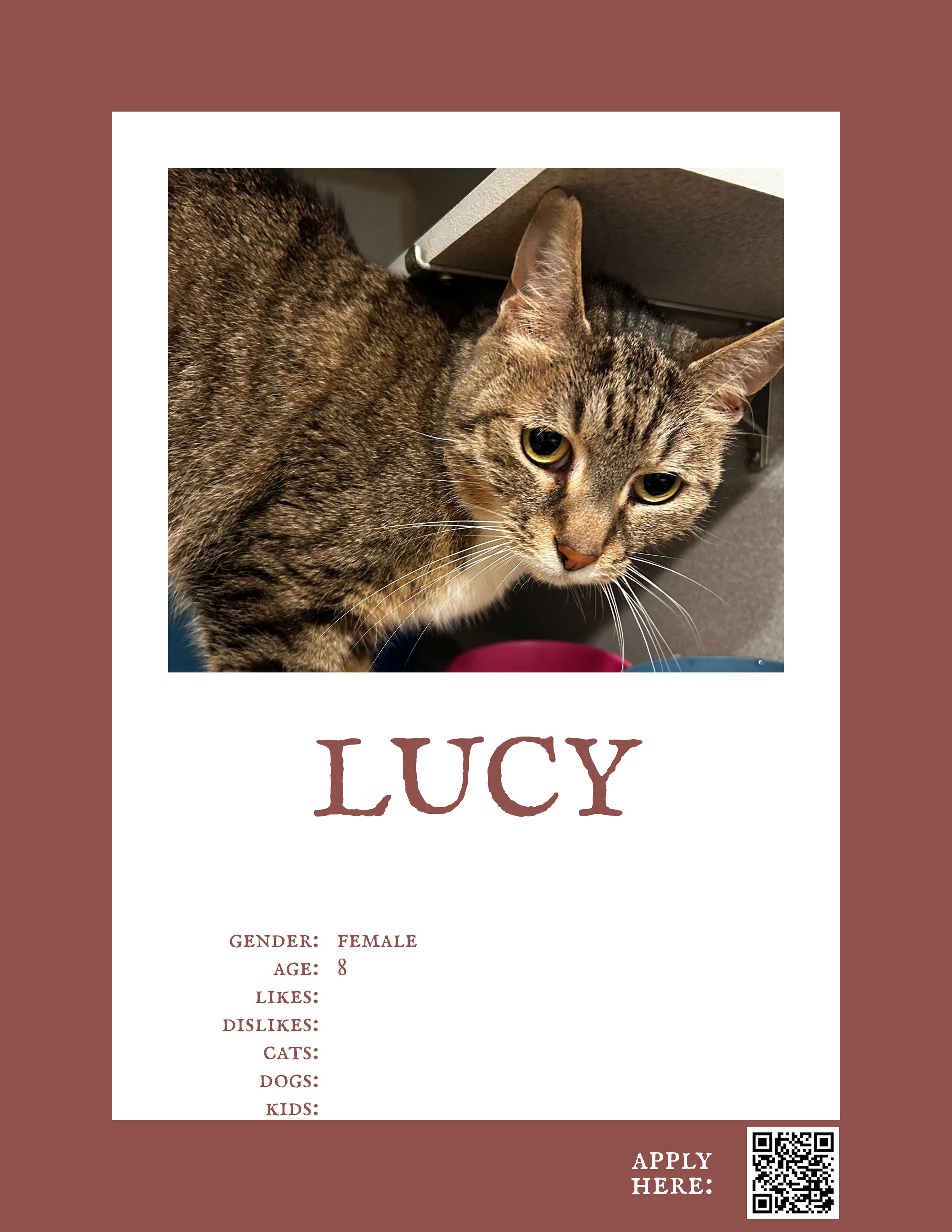 Lucy 4.jpg
