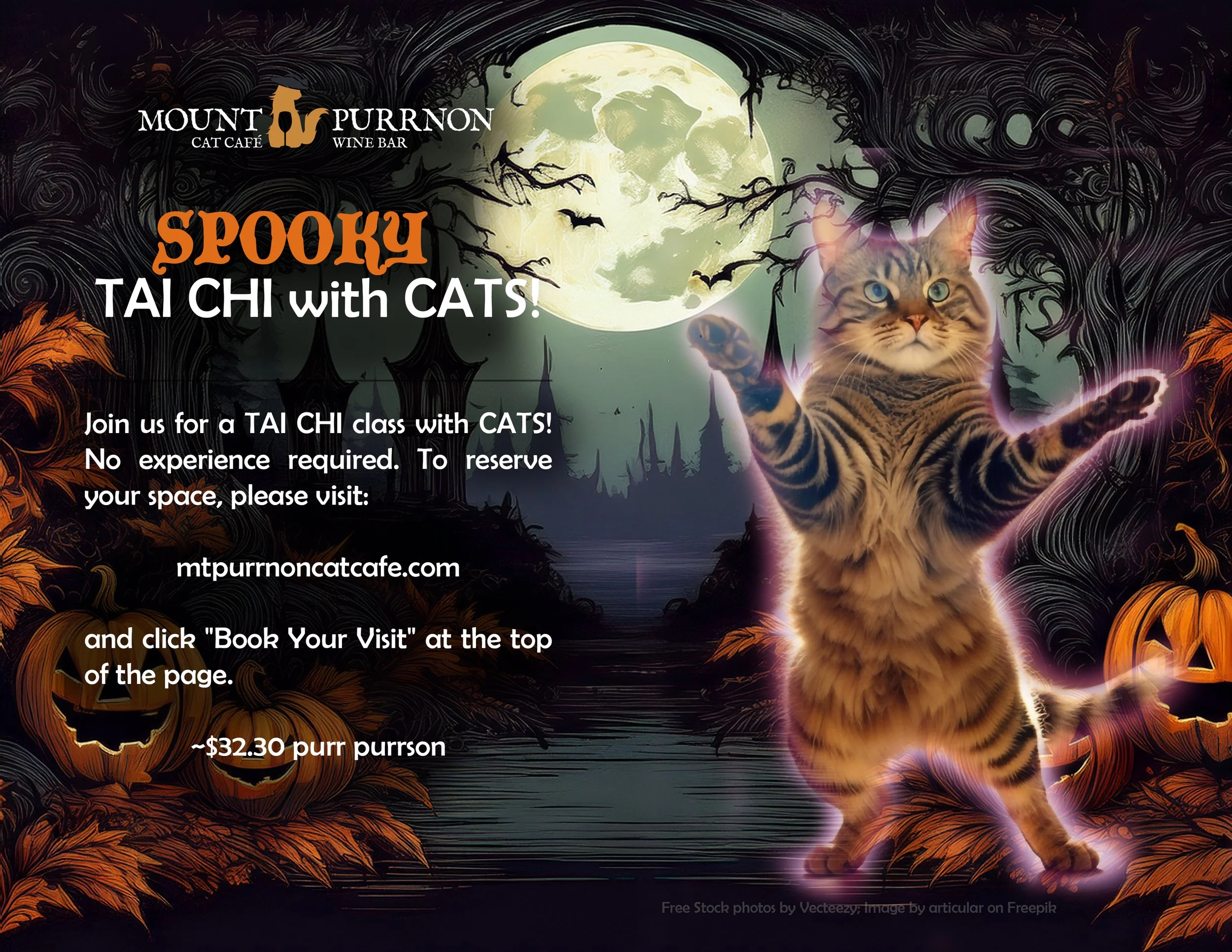 Spooky Tai Chi with Cats